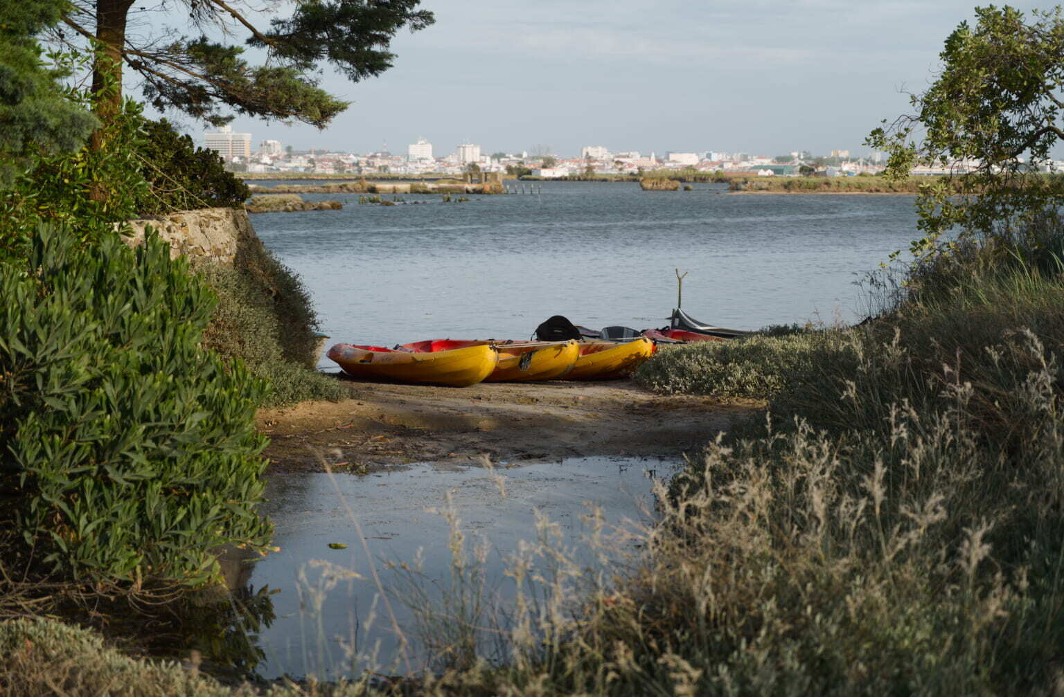 Three kayaks are resting on the shore near a calm body of water, with a city skyline visible in the distance.