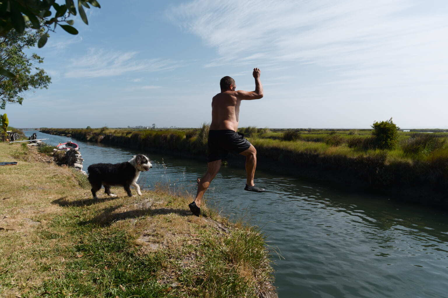 A man is captured mid-jump into a narrow body of water while a dog stands nearby on the grassy bank.