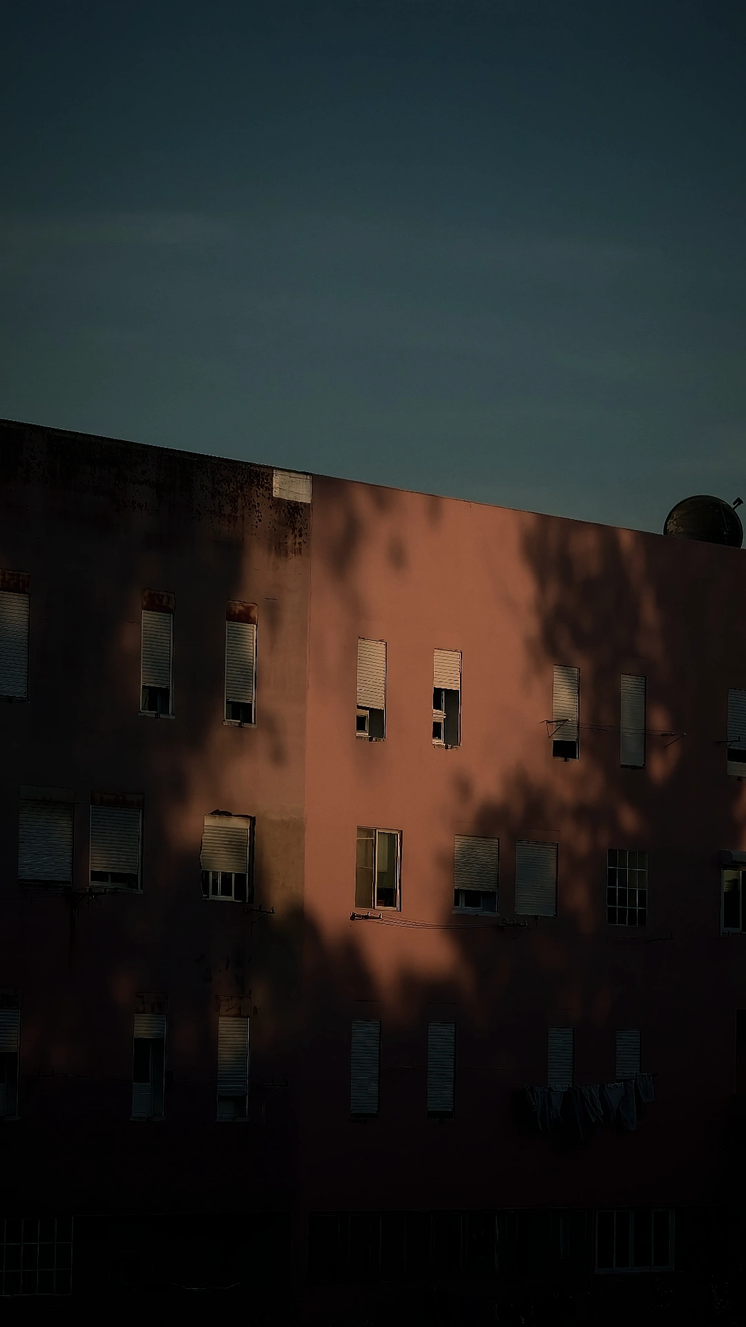 warm, angled sunlight casting deep tree-branch shadows across the pink-to-orange concrete facade of a multistory residential building against a darkening twilight sky