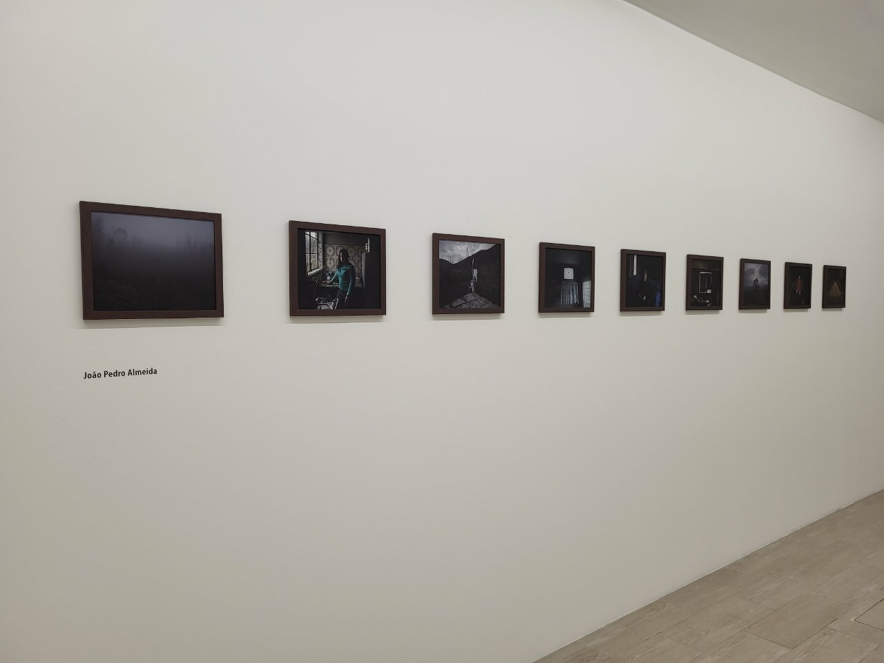 A series of framed photographs is displayed in a row on a white gallery wall.