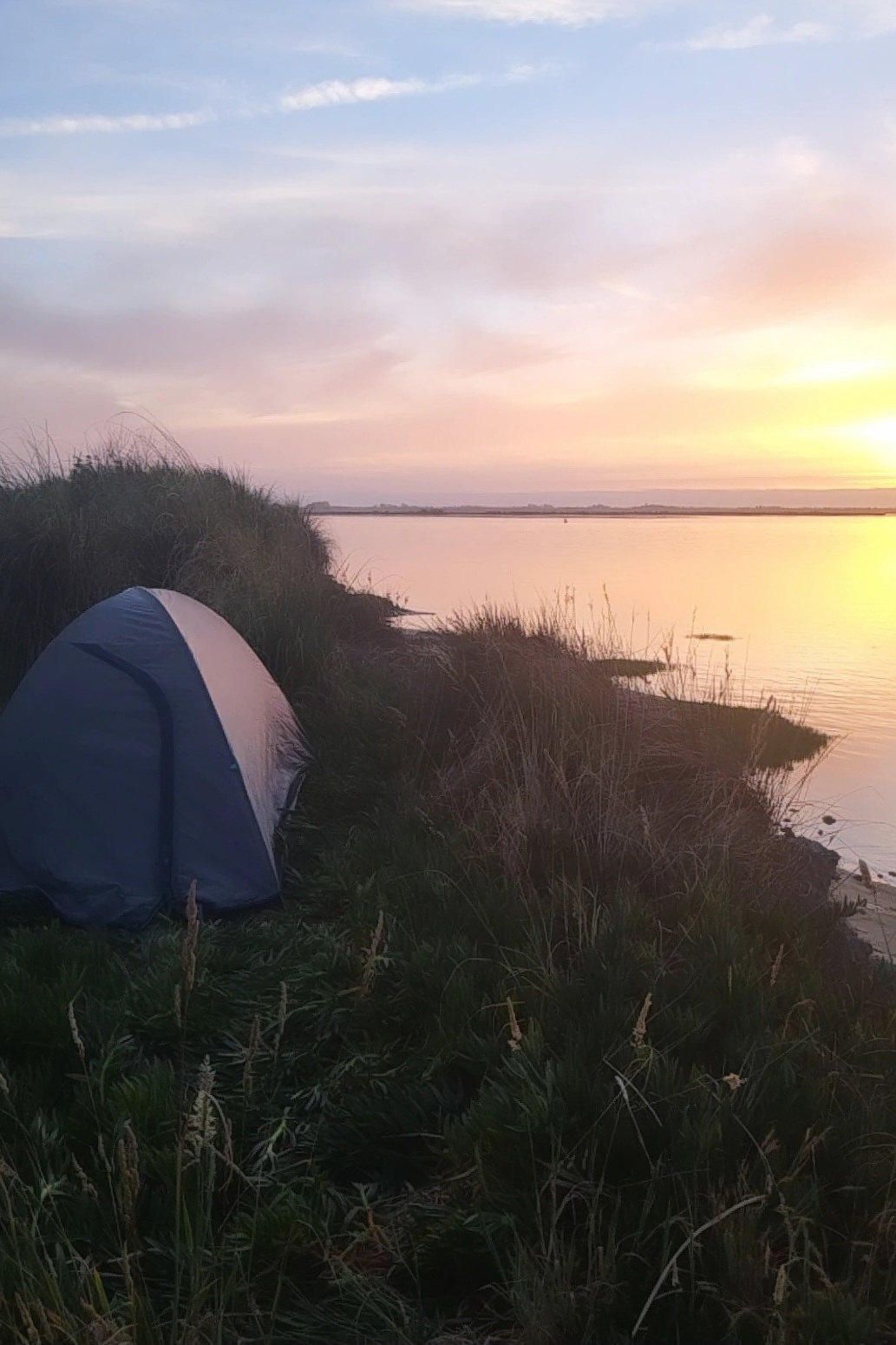 A small tent is pitched near a grassy lakeshore against the backdrop of a colorful sunset.