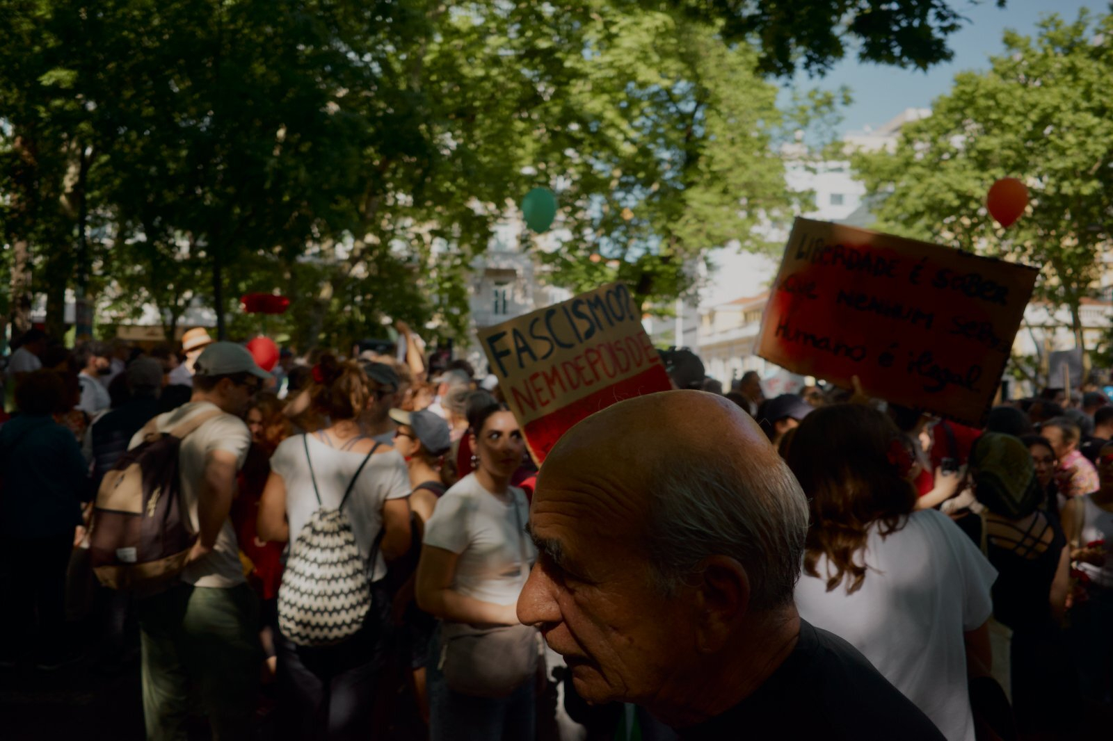 A crowd of people are holding signs at a daytime outdoor protest under a canopy of trees.