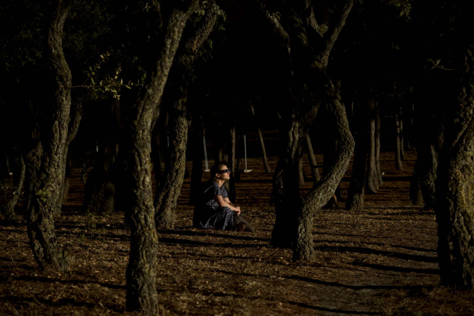 A person wearing sunglasses and a dress is sitting on the ground in a forest with twisted trees and dim lighting.