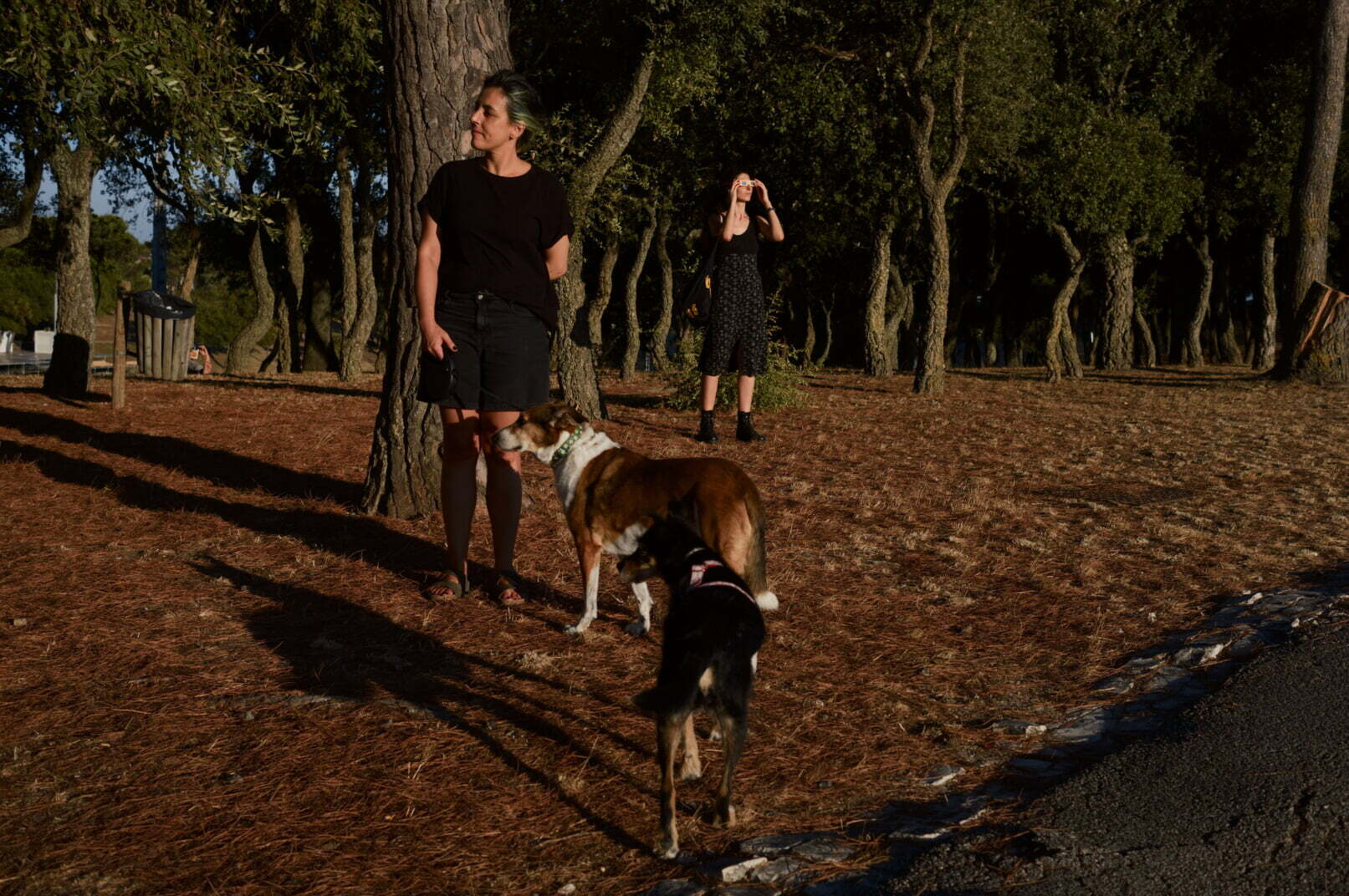 A woman stands among trees with two dogs while another person takes a photo in the background.
