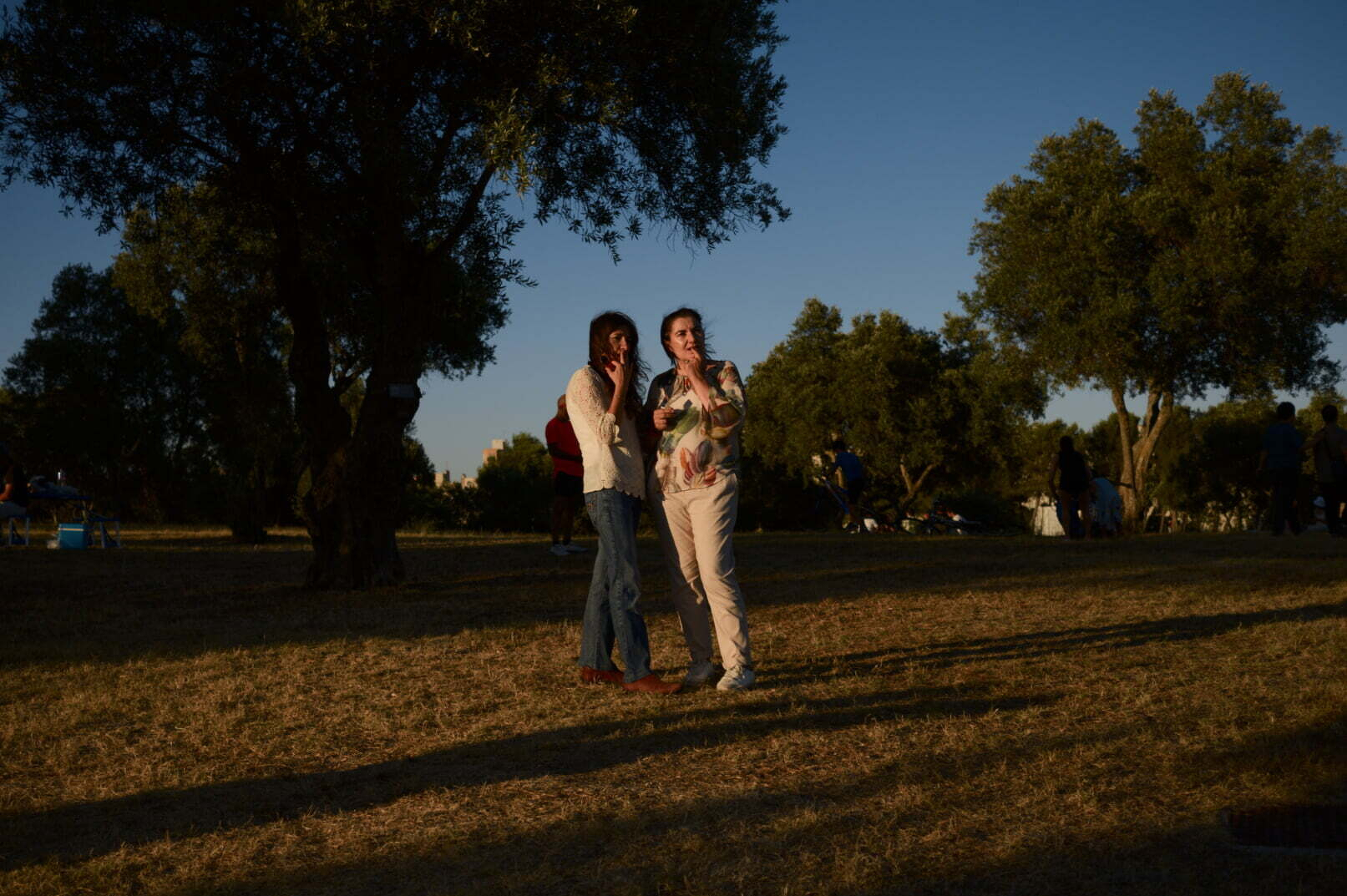 Two women are standing and talking on a grassy area with trees around them during what appears to be late afternoon or early evening.