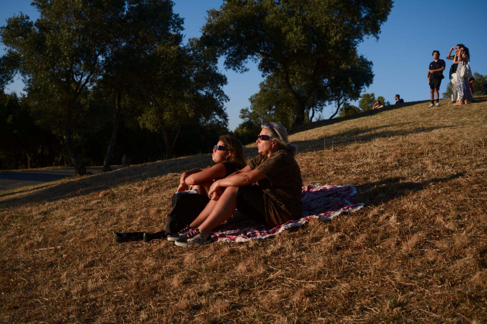 Two people are sitting on a blanket on a grassy hillside, enjoying the sunlight while others stand or walk in the background.
