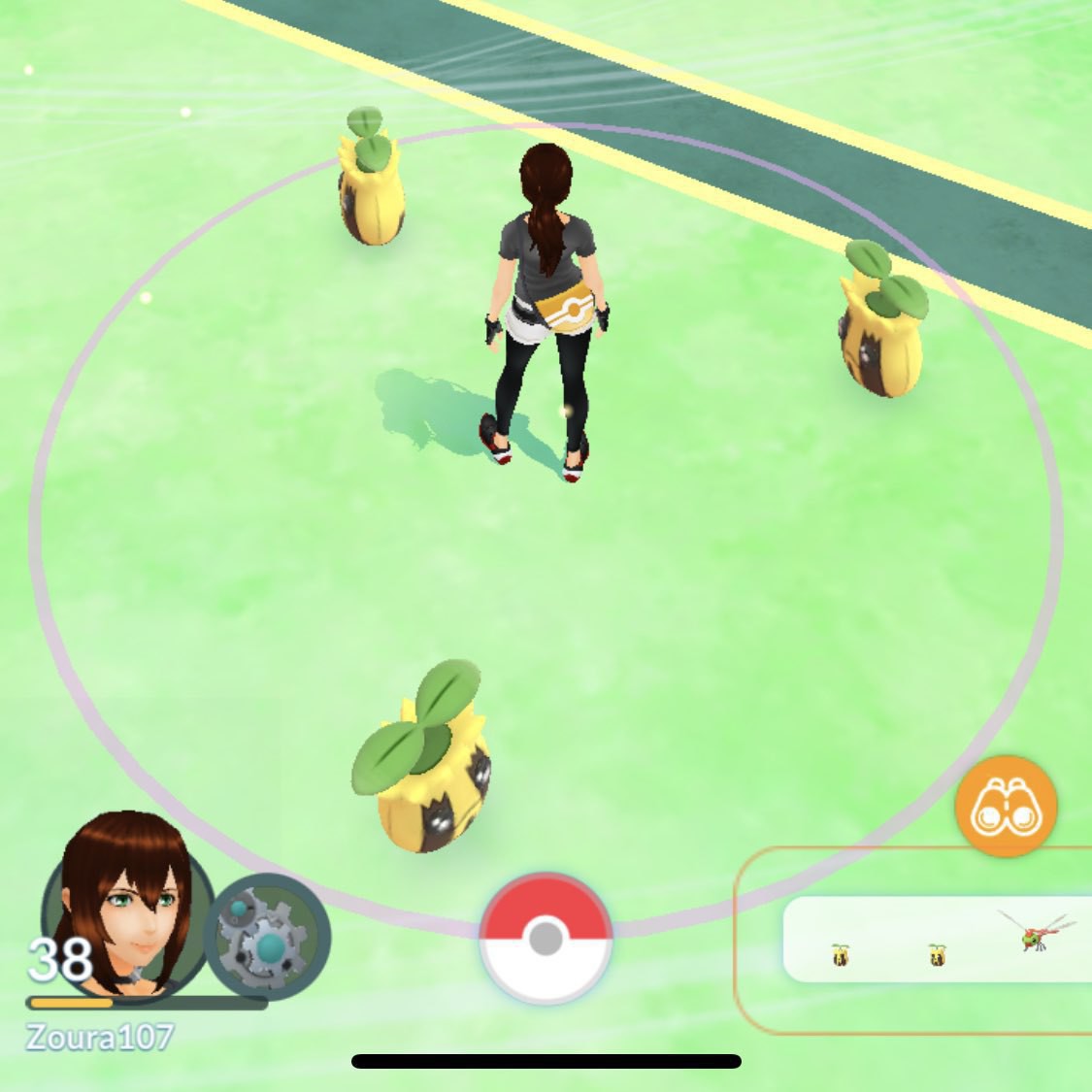 Three Sunkern Pokemon surrounding my avatar