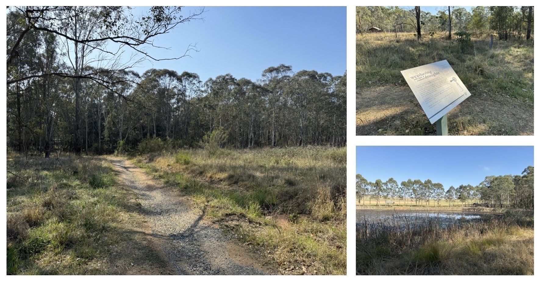 Collage of 3 photos of the tracks, pond and picnic shelters in our local national park