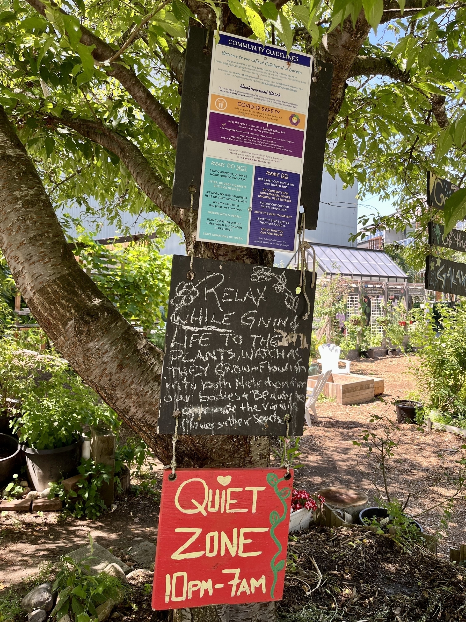 Community Guidelines poster that I’ll get the text for later, a chalk board with a message that begins “relax while giving life to the plants, watch as they grow and flourish…”&10;&10;And a sign that says Quiet Zone, 10pm - 7am