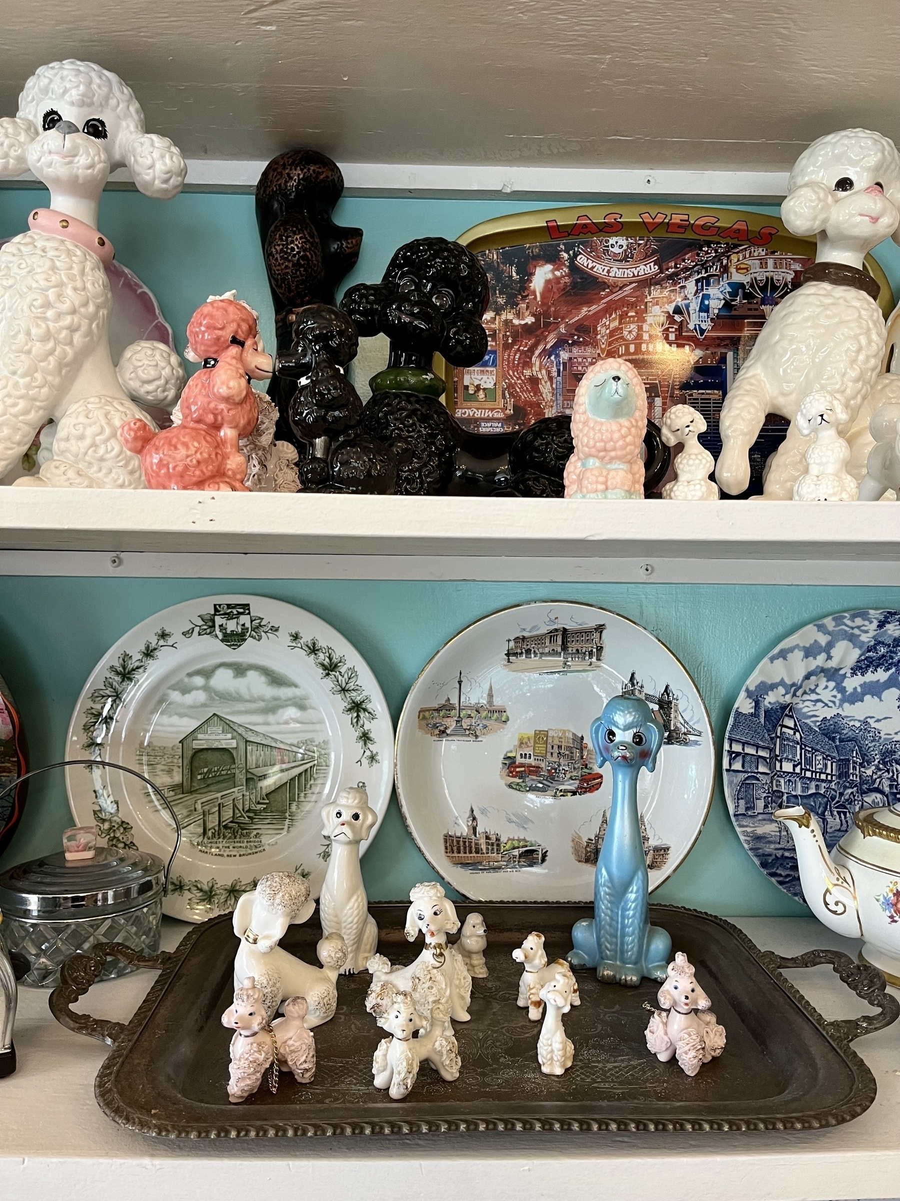 One wall is covered in shelving that in this case has lots of ceramic poodles, commemorative plates. Out of frame is 70s lunch boxes and thermos. Old cookbooks and so on. 
