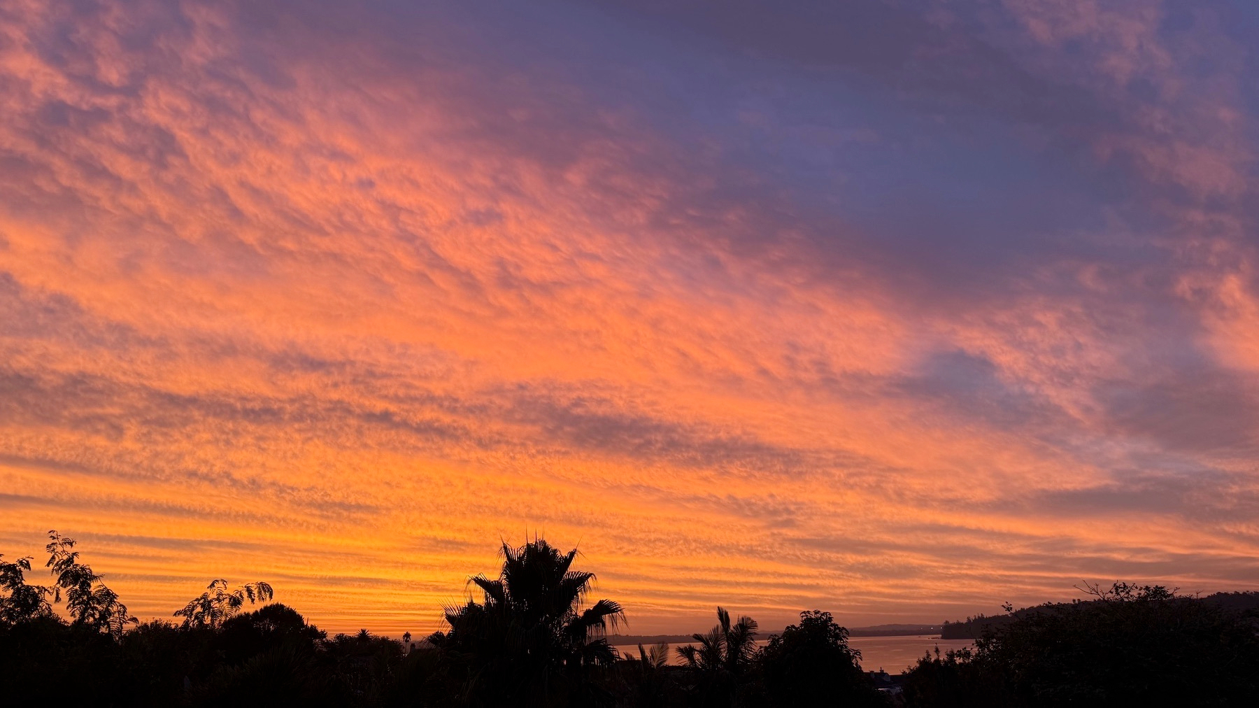 A vibrant sunset paints the sky with warm hues of orange, pink, and purple above a silhouette of trees.
