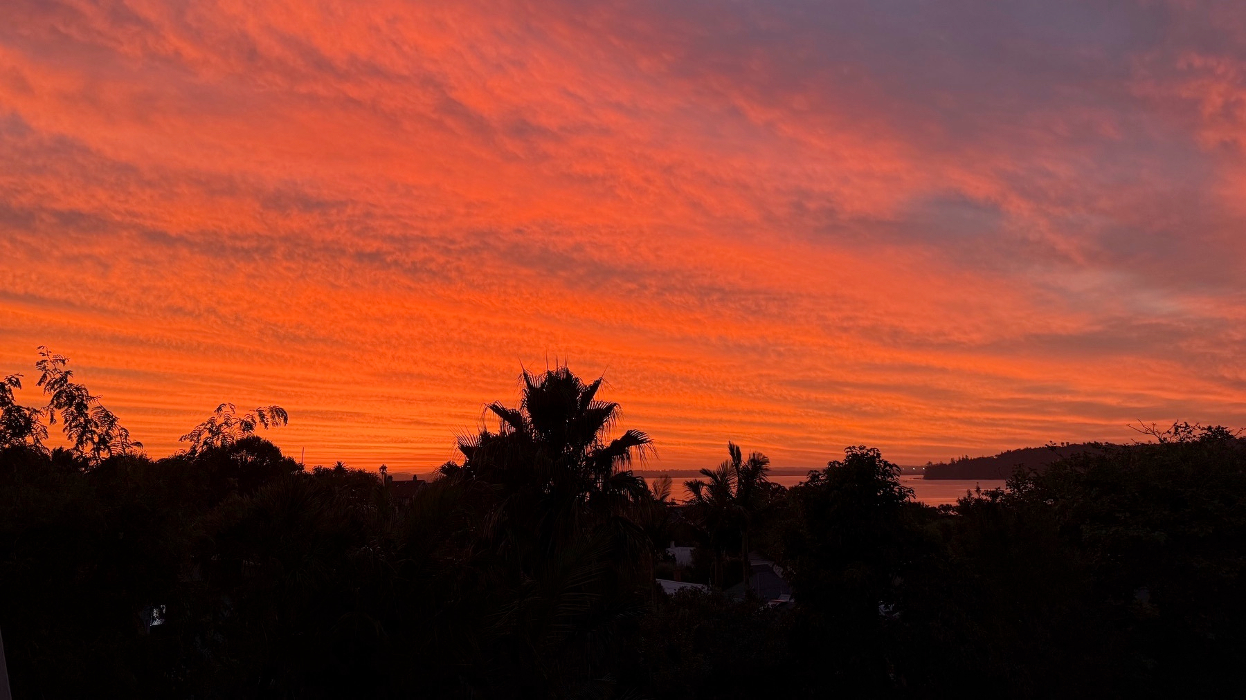 A vibrant orange sunset sky illuminates the silhouetted tropical trees below.