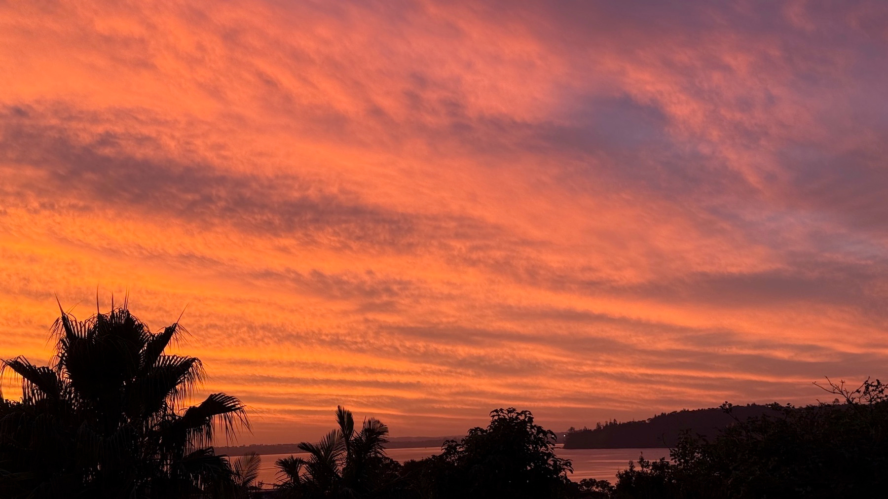 A vibrant sunset paints the sky in shades of orange and purple, silhouetting trees and hills against the colorful horizon.