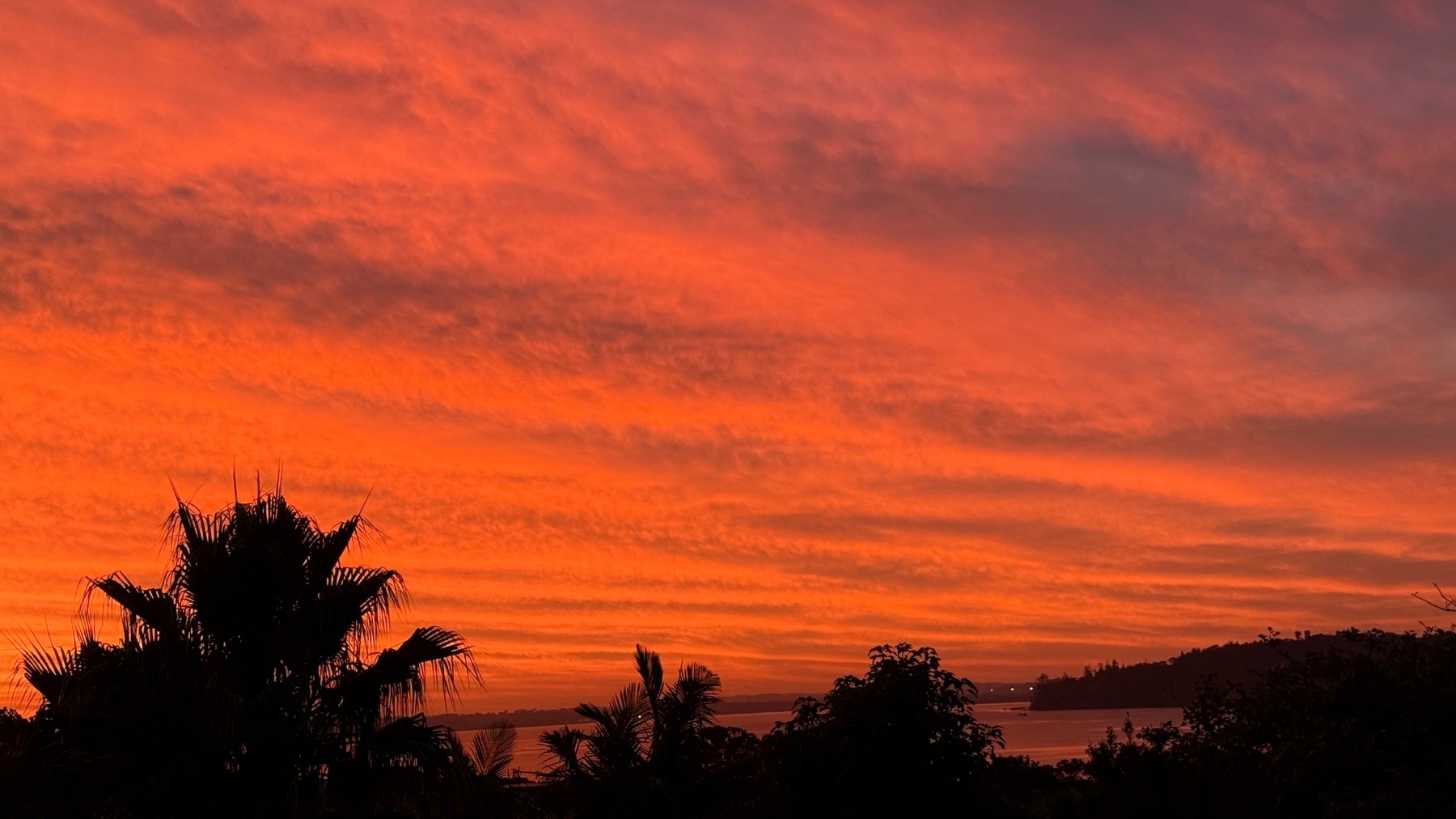 A vibrant sunset sky with shades of orange and red above silhouetted trees and a distant shoreline.