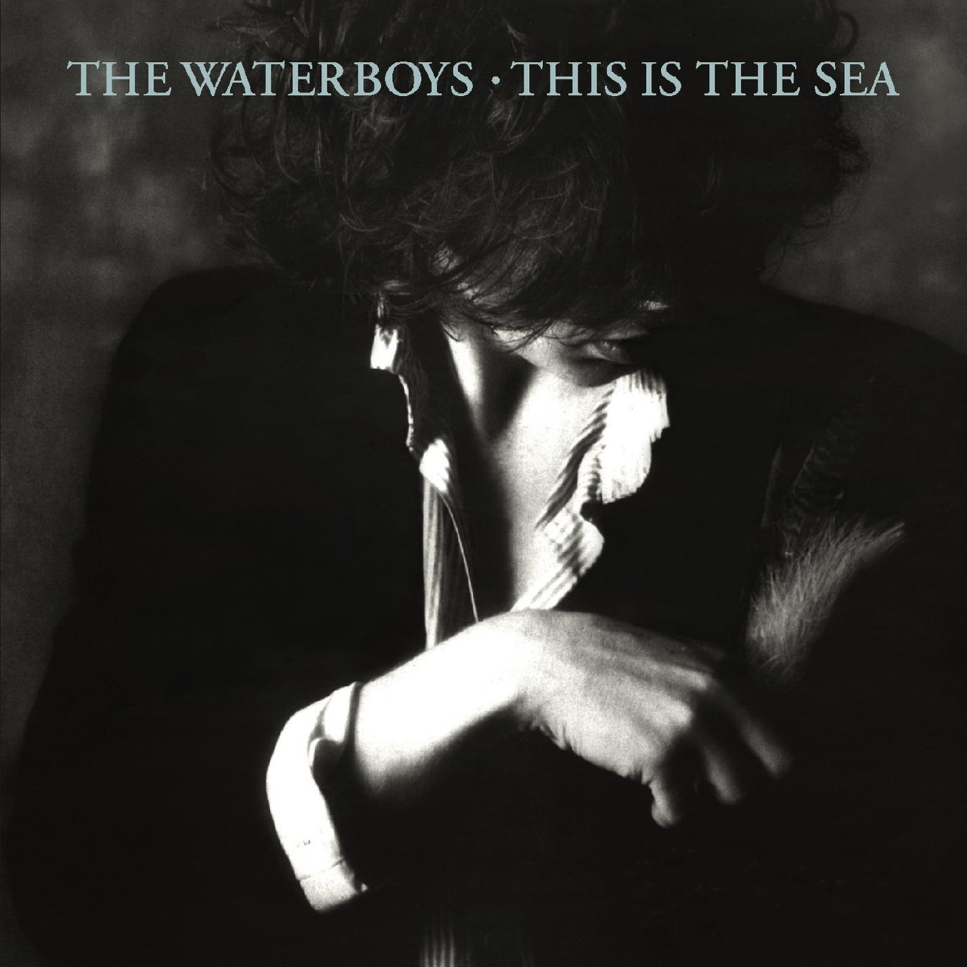 This Is the Sea by The Waterboys