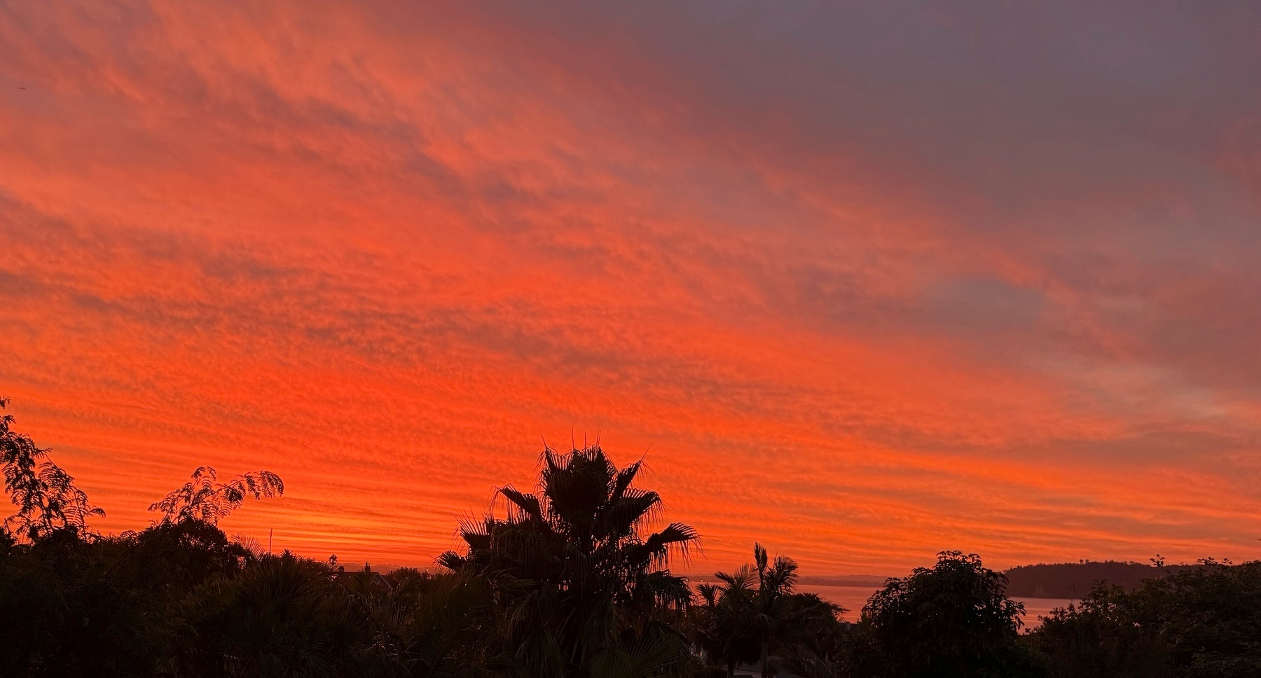 A vibrant sunset sky glows in shades of orange and red above silhouetted trees and a distant coastline.