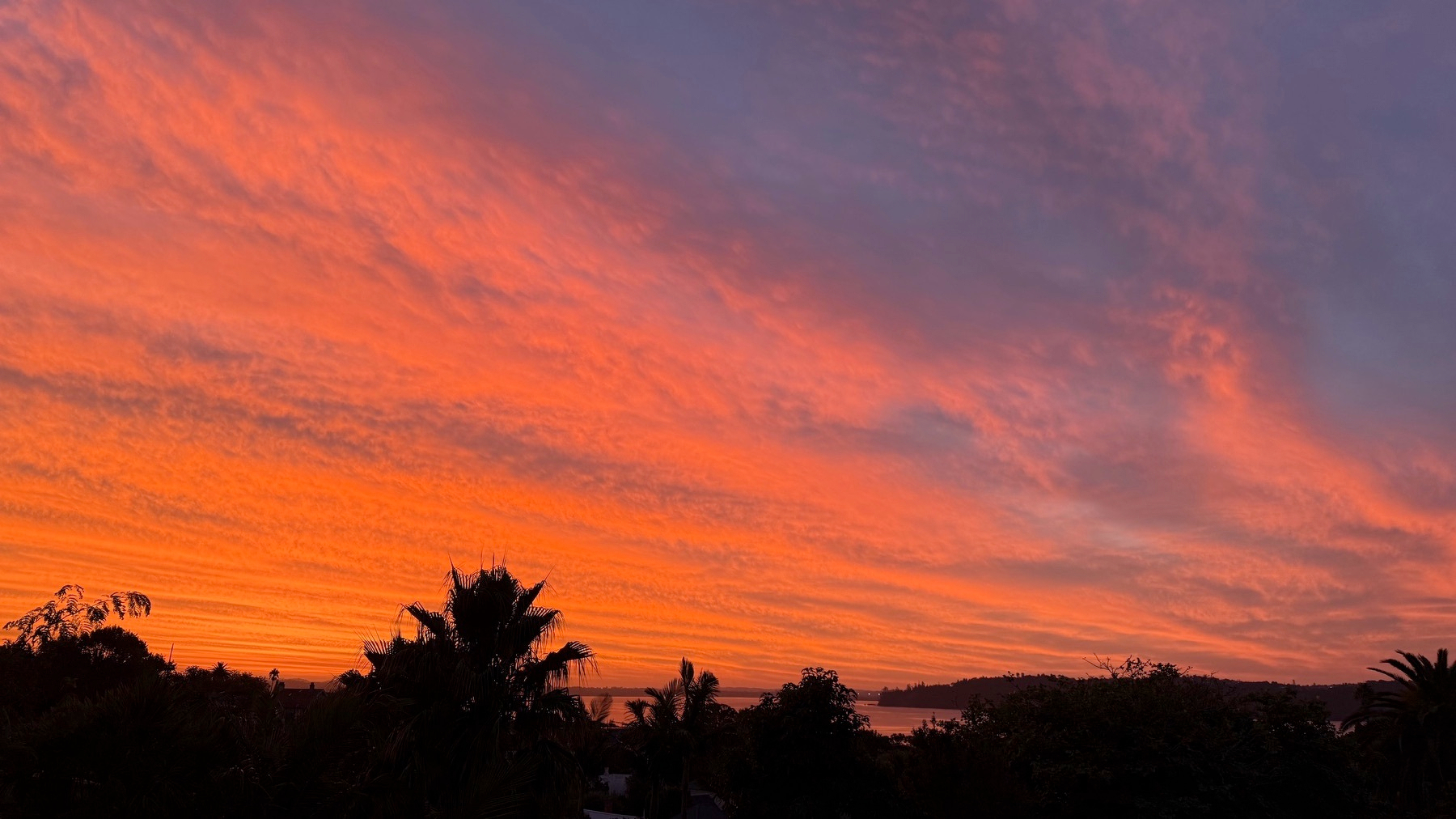 A vibrant sunset paints the sky with shades of orange and pink above a silhouetted landscape of trees.