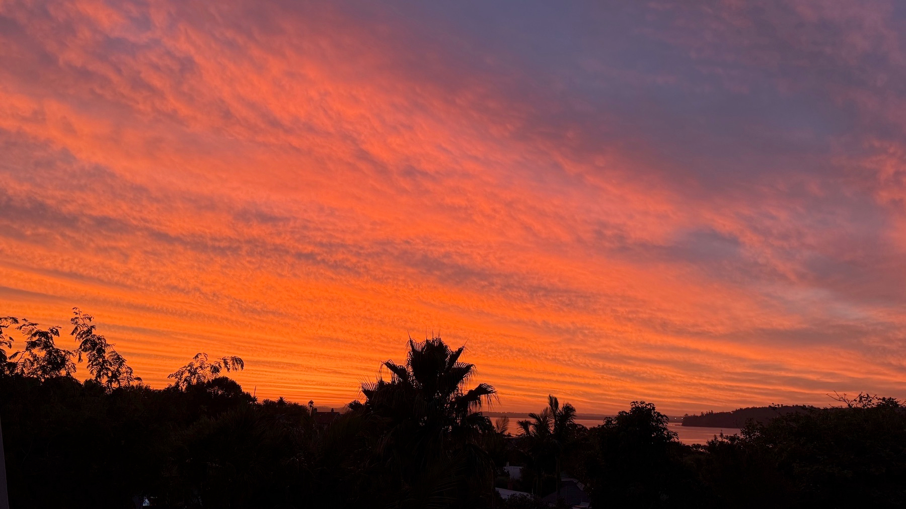 A vivid sunset sky displays a gradient of orange and pink hues over a silhouetted landscape with trees.