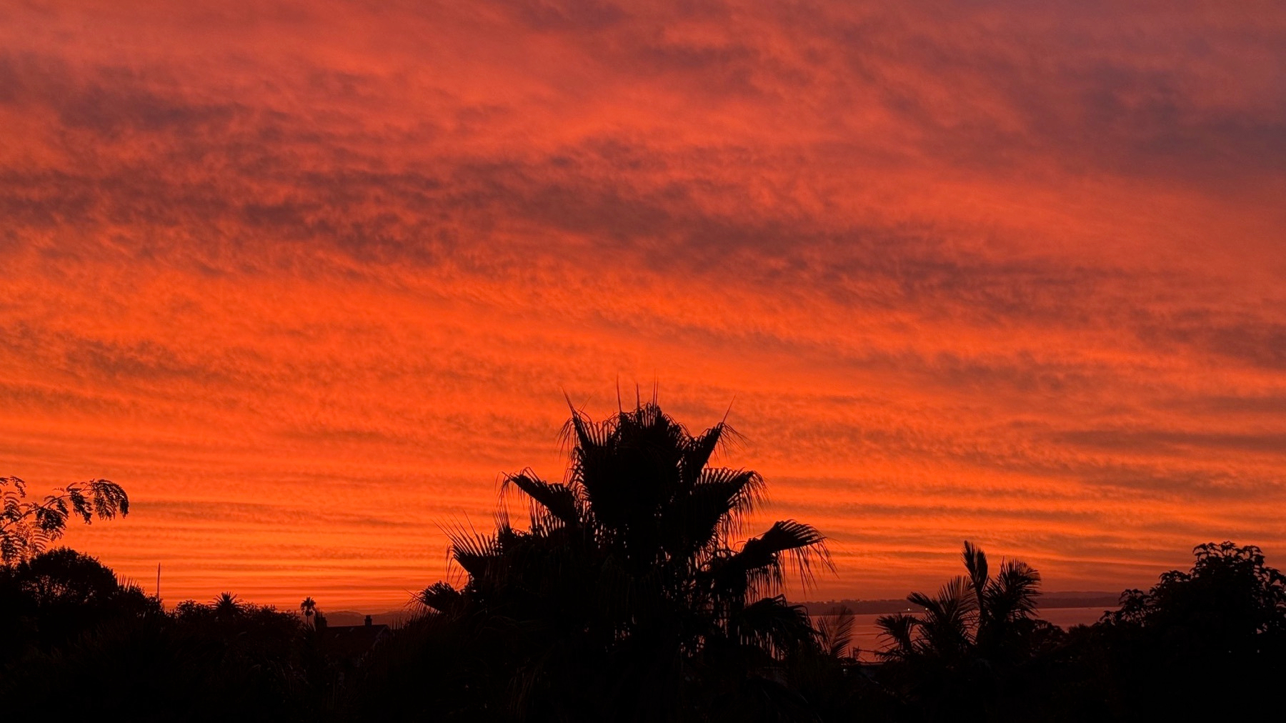A vibrant sunset sky with rich orange and red hues is silhouetted by the outlines of trees.