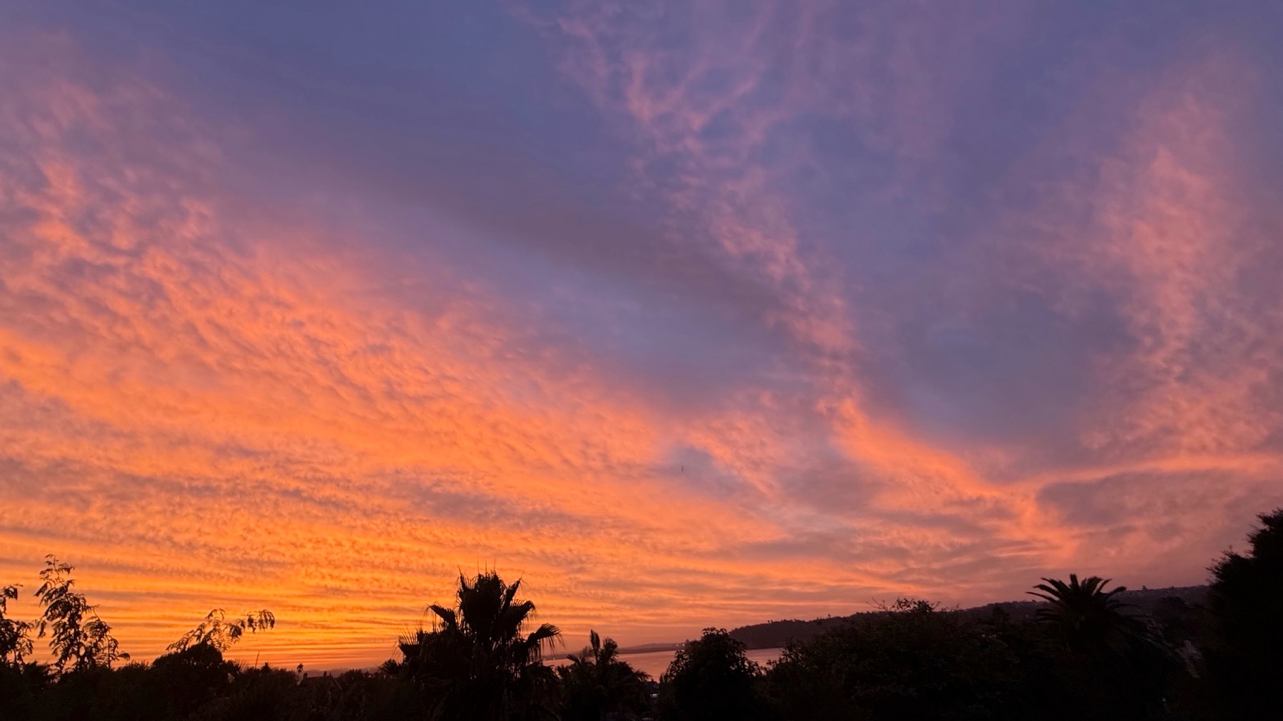 A vibrant sunset fills the sky with pink and orange clouds above silhouetted trees.