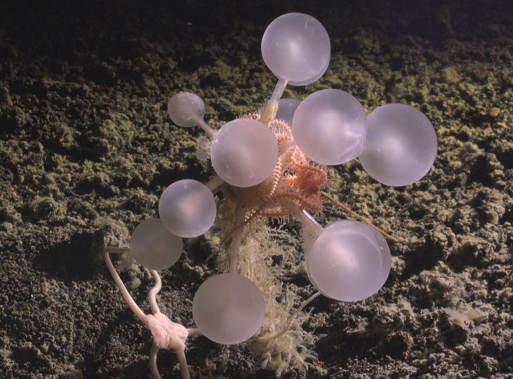 Deep under water,