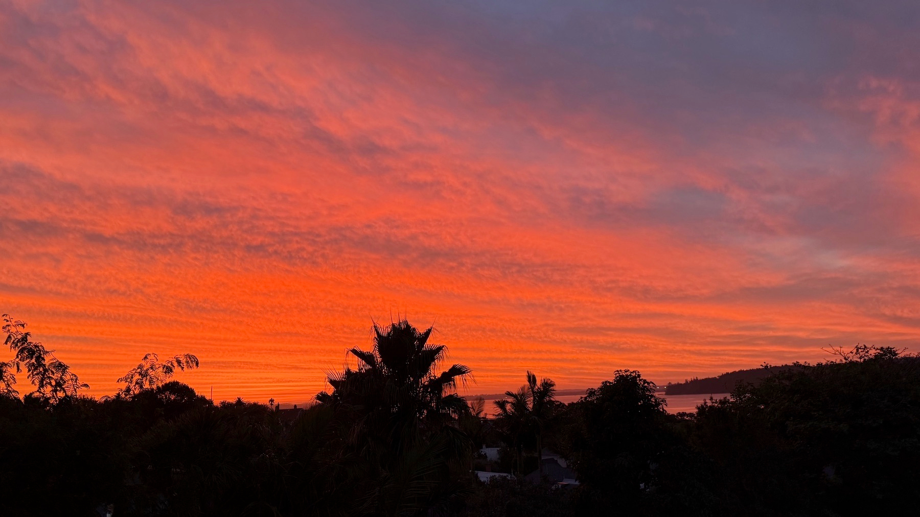 A vibrant sunset with orange and pink hues illuminates the sky above a silhouette of trees and hills.