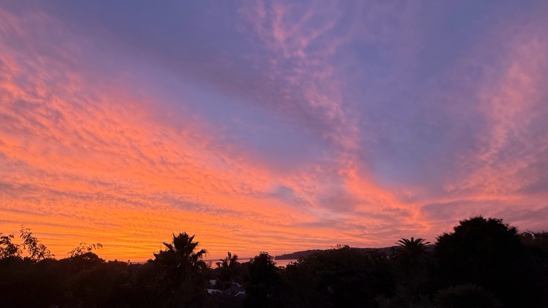 A vibrant sunset sky features shades of pink, orange, and purple above silhouetted trees.