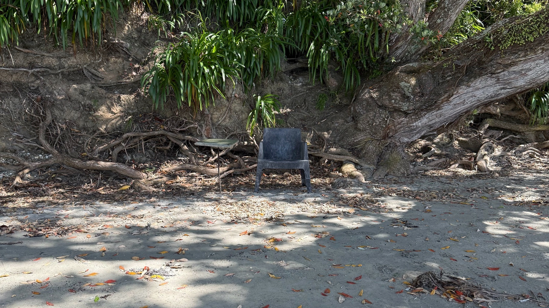 Oneroa Beach - random chair