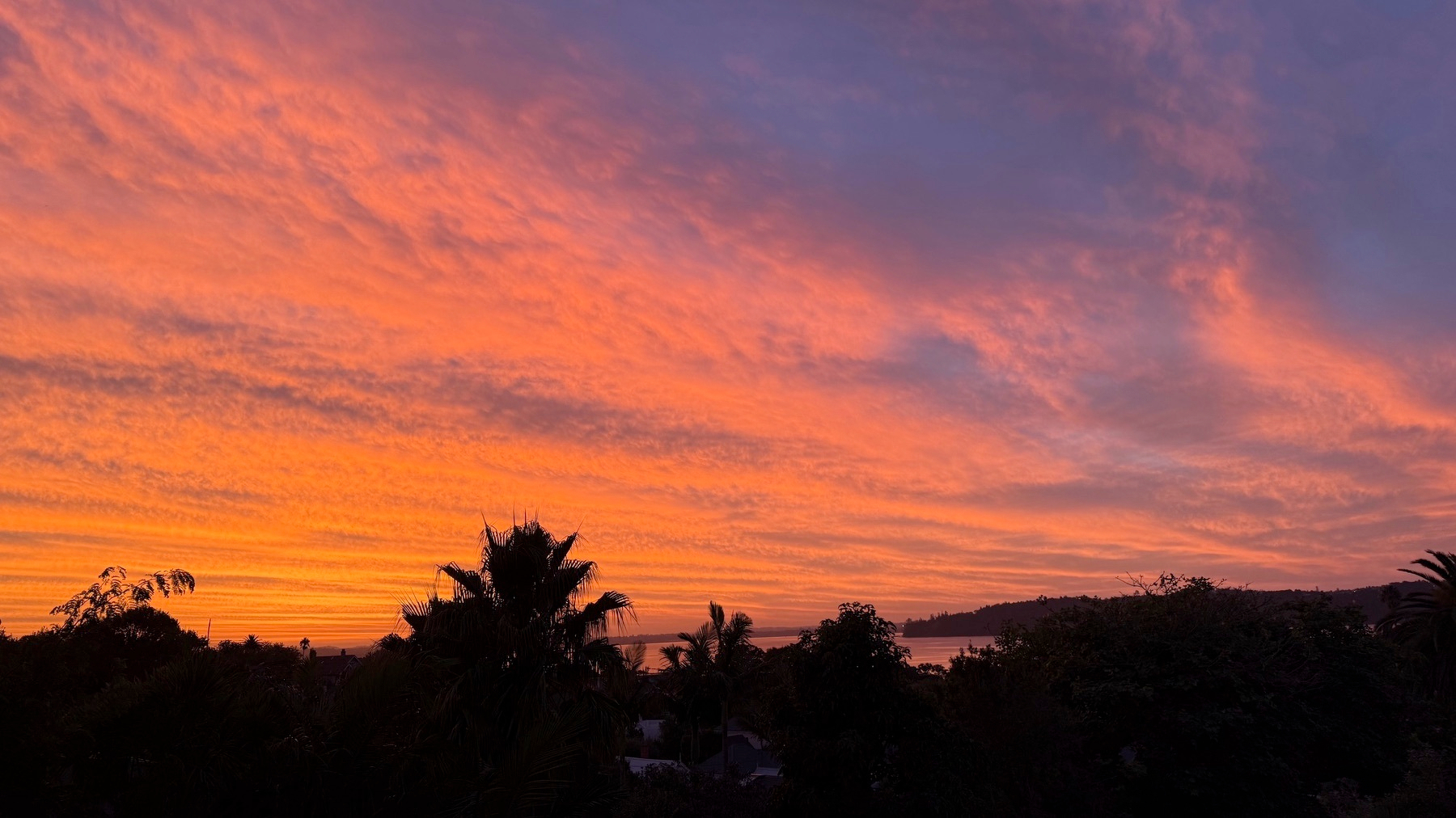 A vibrant sunset sky features a mix of orange, pink, and purple hues with silhouetted trees in the foreground.