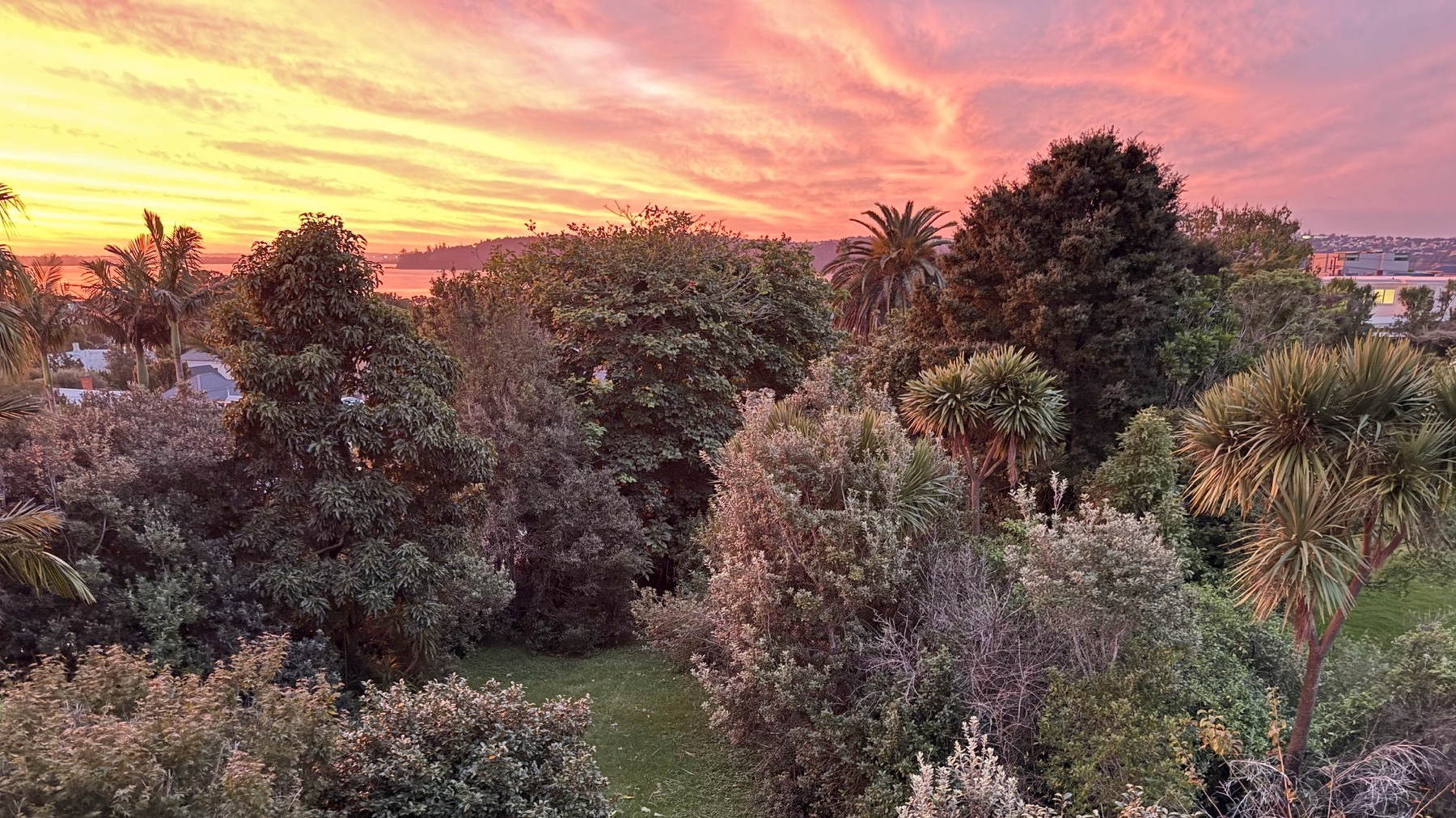 A lush landscape filled with various trees is set against a vibrant sunset sky.