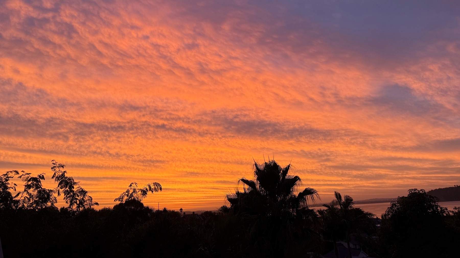 A vibrant sunset sky with orange and purple hues stretches above silhouetted trees and a distant hillside.