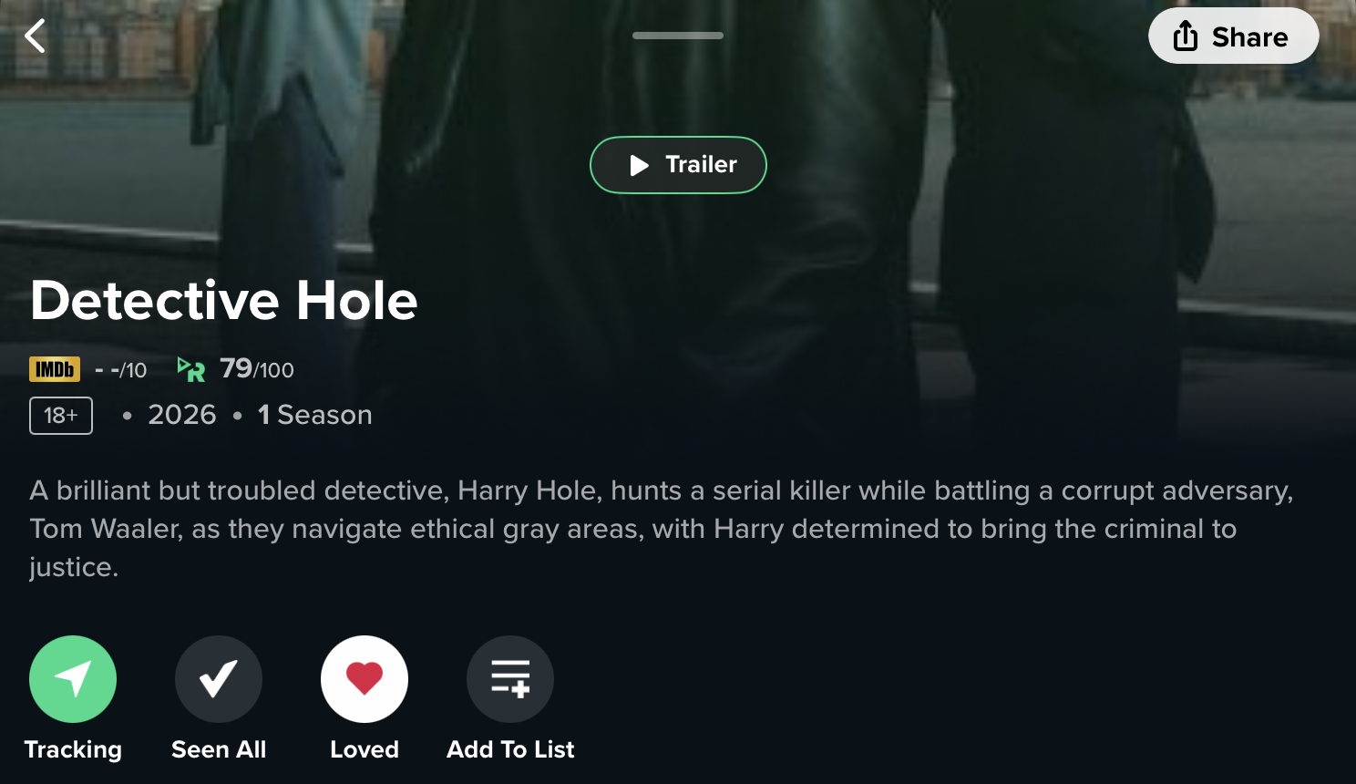 Detective Hole