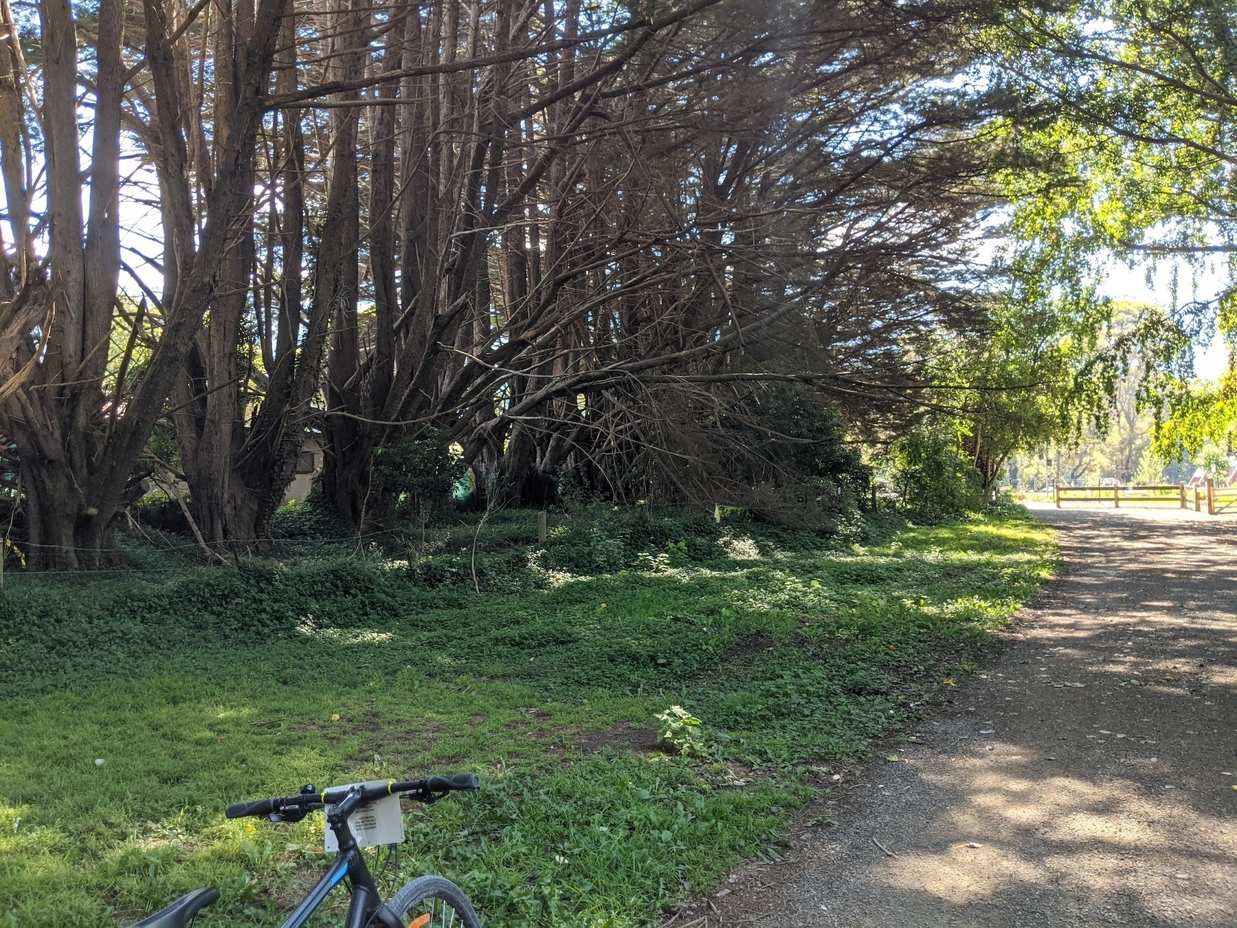 Bike ride near Warbuton
