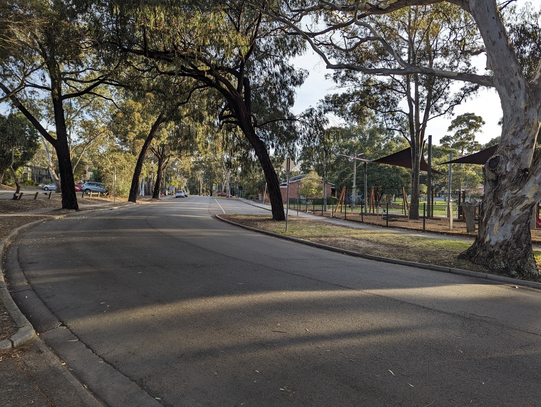 Road curving to the right, shaded by eucalyptus trees, with a playground on the right.
