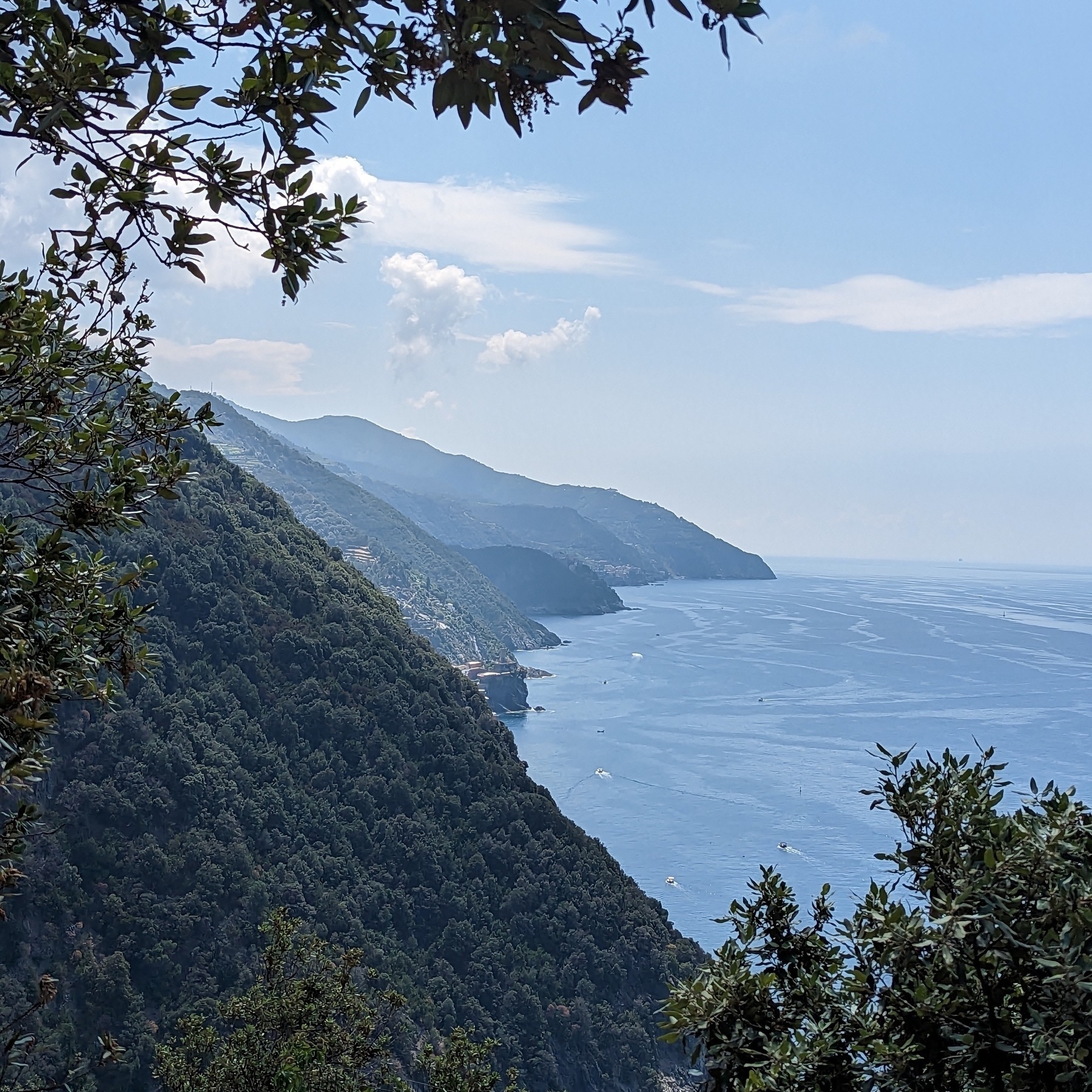 Shot of the coastline along the Gulf of Genova, on a slightly cloudy day, with large hills descending down to the Ligurian Sea. Photo shot through branches of nearby trees.