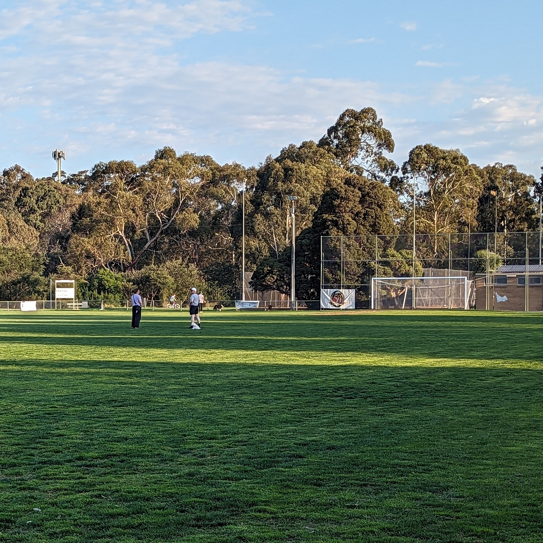 An empty soccer pitch with a couple of people playing with their dogs