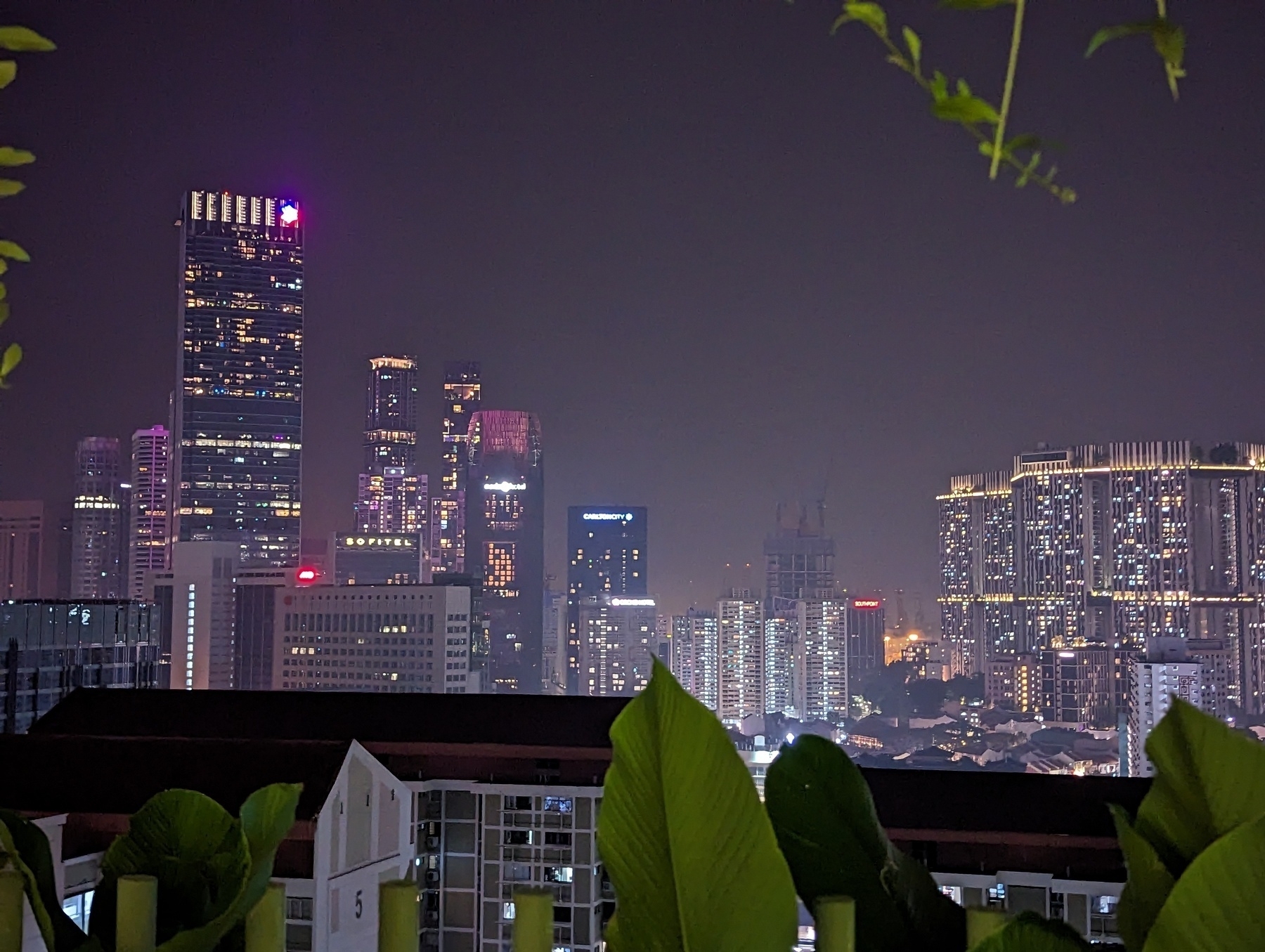 Singapore skyline at night with some plants slightly covering the foreground.