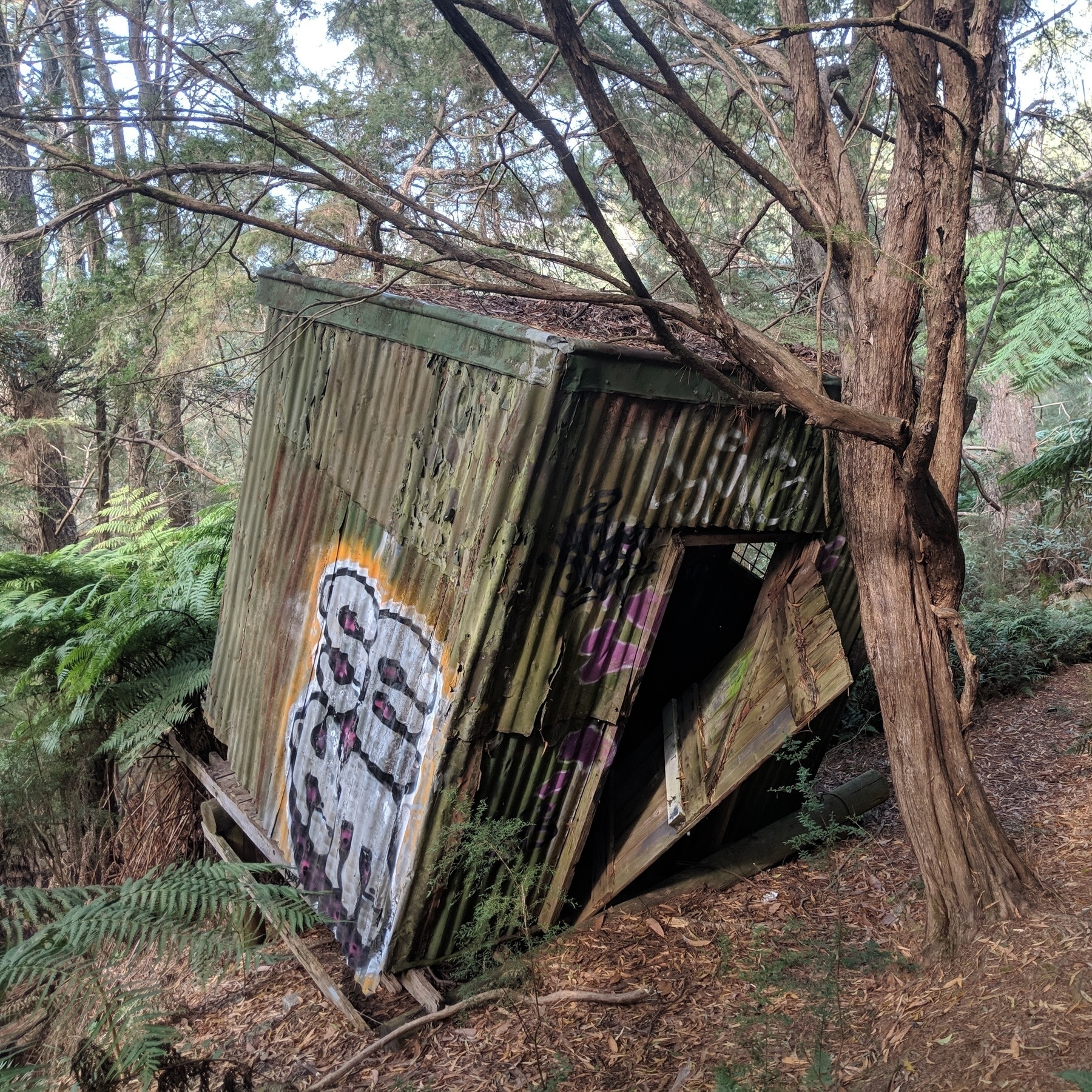 A shed in a forest leaning on a tree with some graffiti on the side and the door fallen off it's hinges