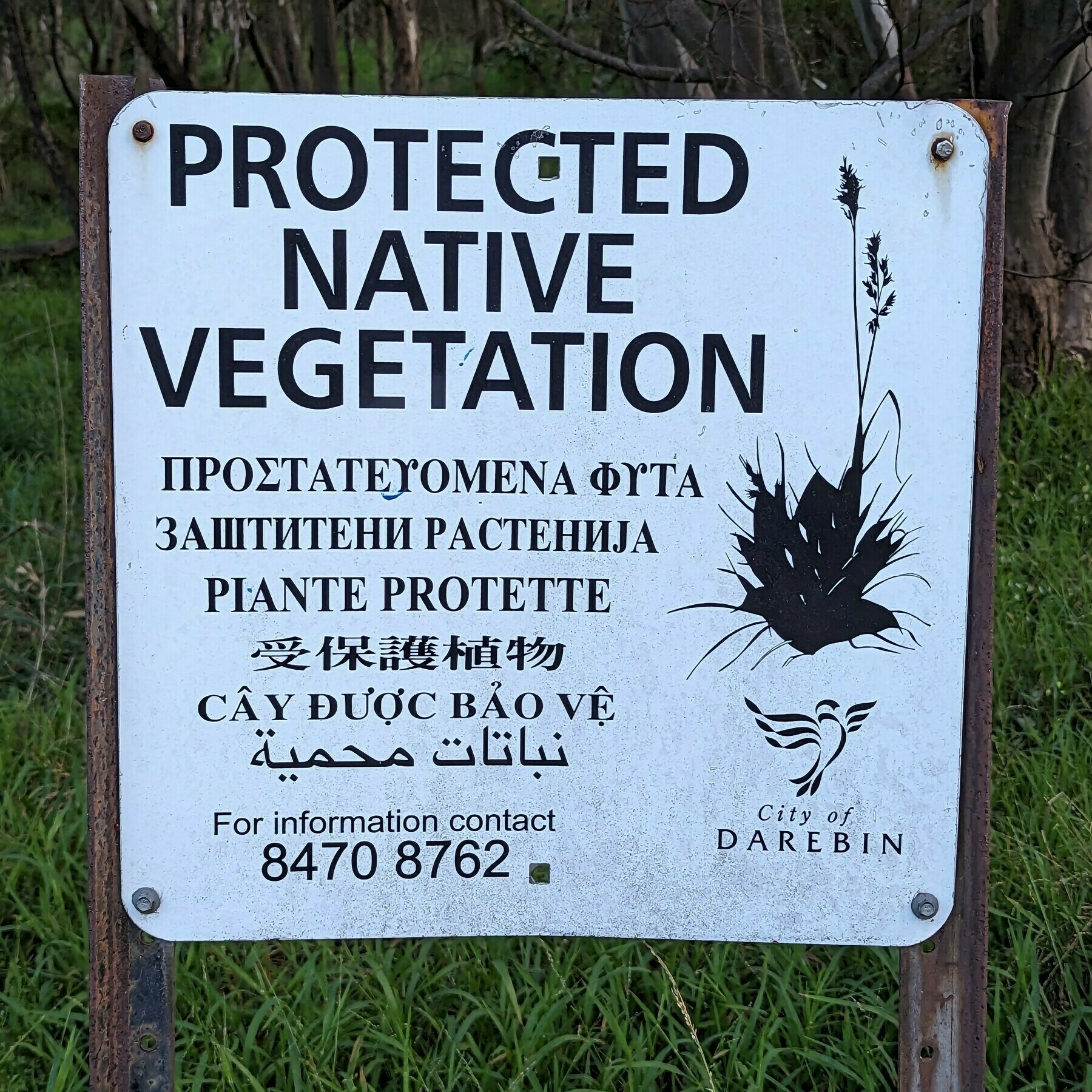 A sign that reads 'Protected Native Vegetation' in English, Greek, Macedonian, Italian, Mandarin, Vietnamese, and Arabic