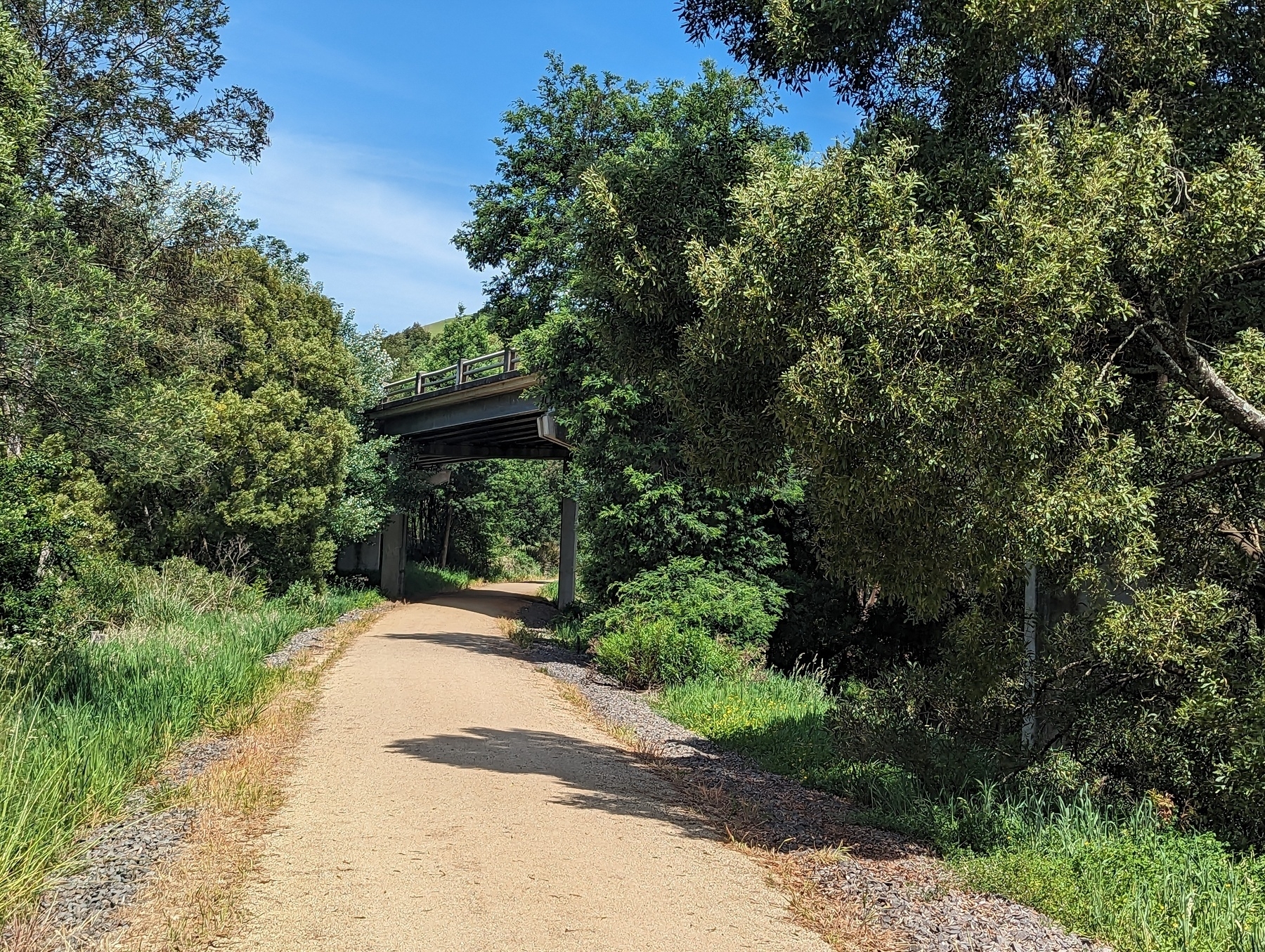 The rail trail approaching the South Gippsland Highway which crosses the trail and a creek via a bridge