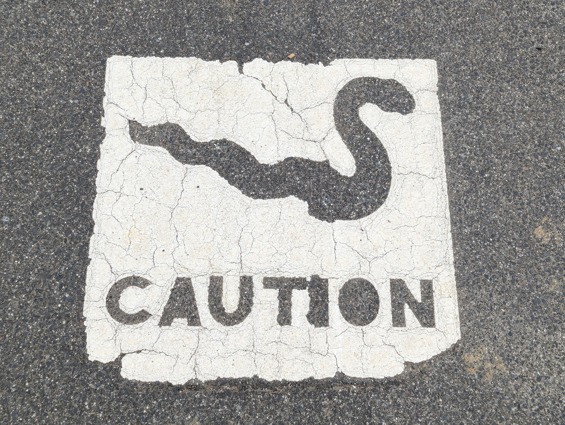 A white glyph painted on an asphalt path depicting a snake and the word 'Caution' underneath.