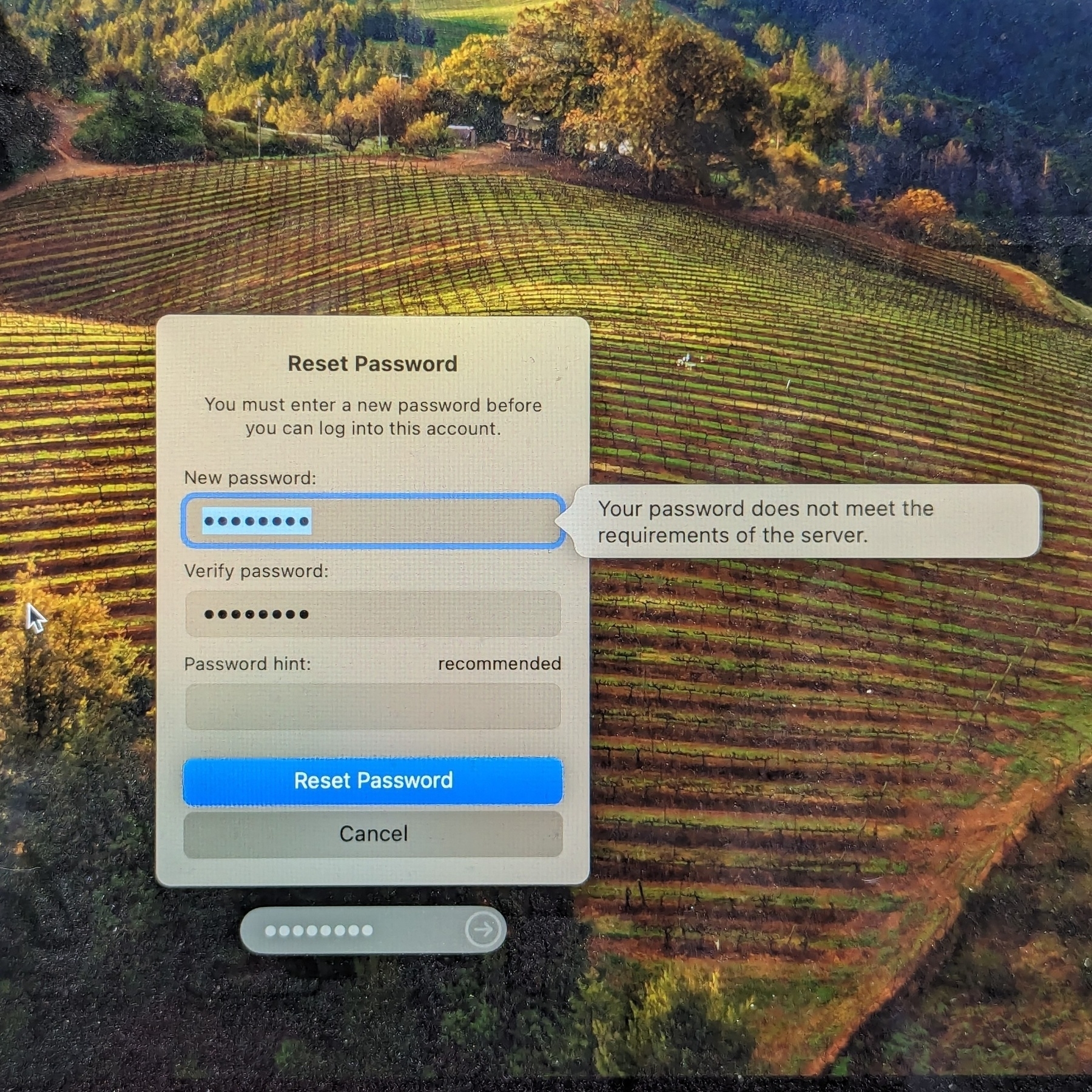 A macOS login reset password modal, partially filled in, with a prompt saying that 'your password does not meet the requirements of this server' without saying what the requirements are.