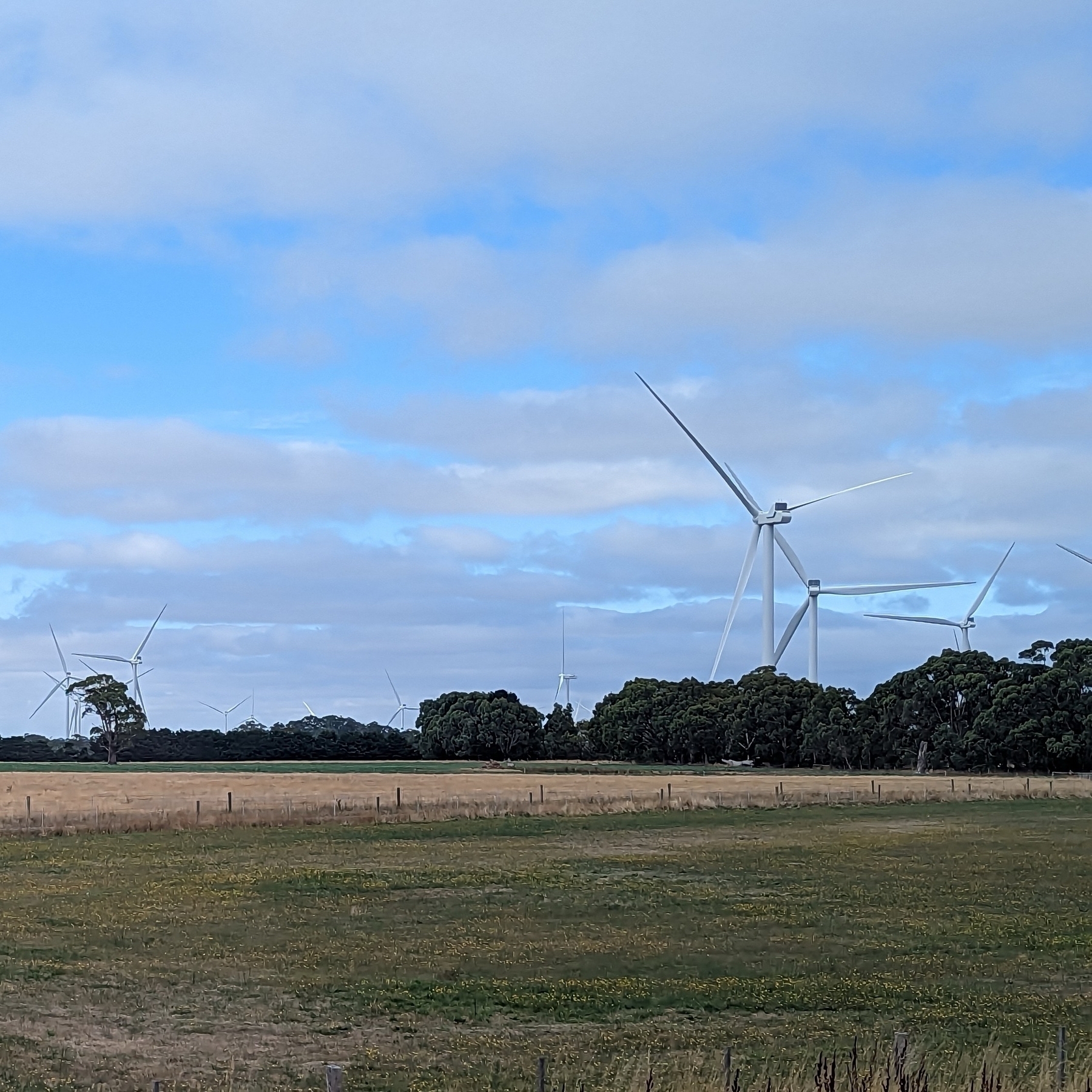 Modern power generating windmills in a field.