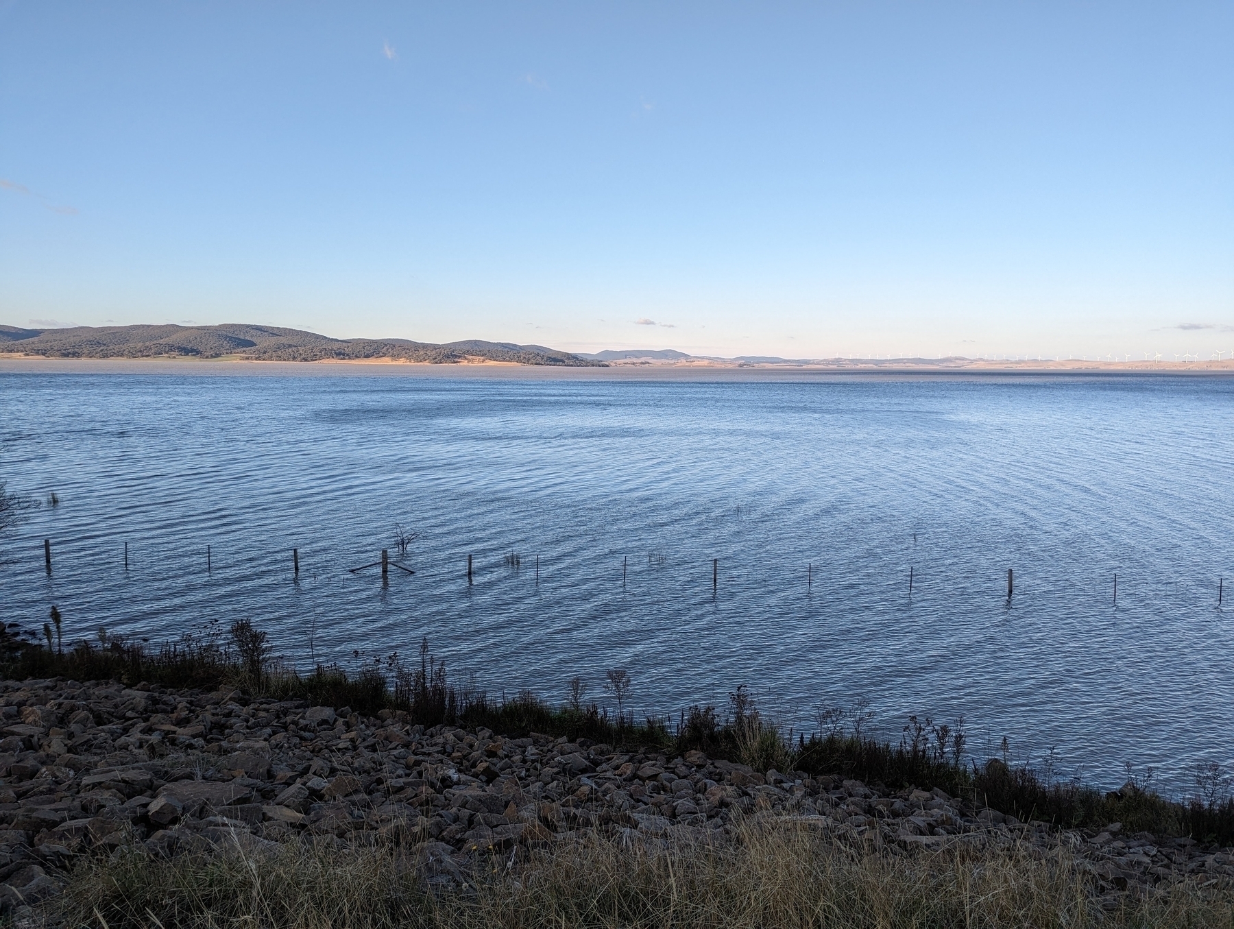 A calm, expansive body of water stretches towards a distant shoreline with rolling hills under a clear blue sky, with a rocky shoreline and some vegetation in the foreground.