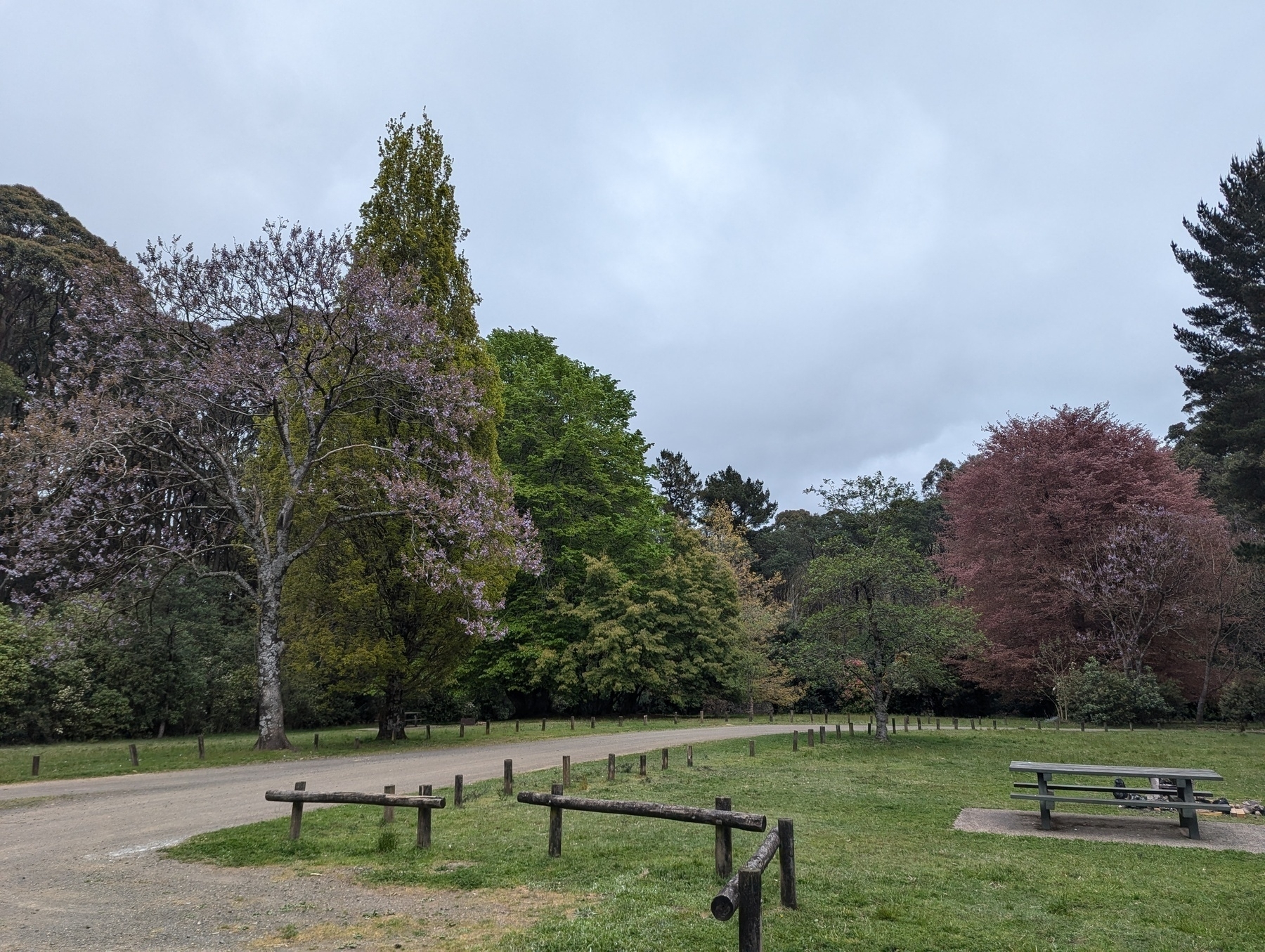 A peaceful park setting features a gravel path, diverse trees, and a picnic table on a grassy area.