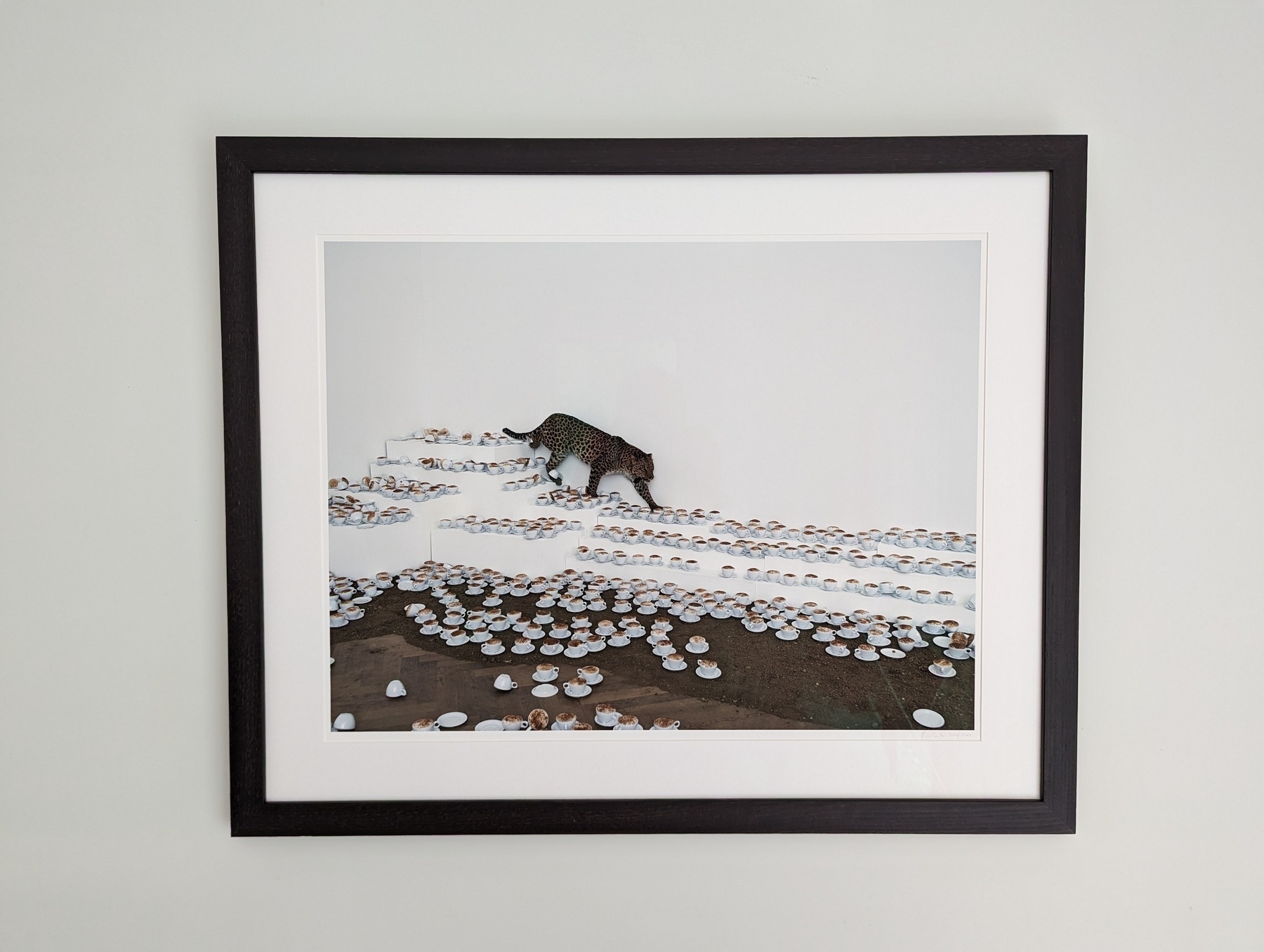 Framed print of 'One Cup of Cappuccino Then I Go' by Paola Pivi. Print features a scene of many cappucinos on the ground with a leopard walking in the background.