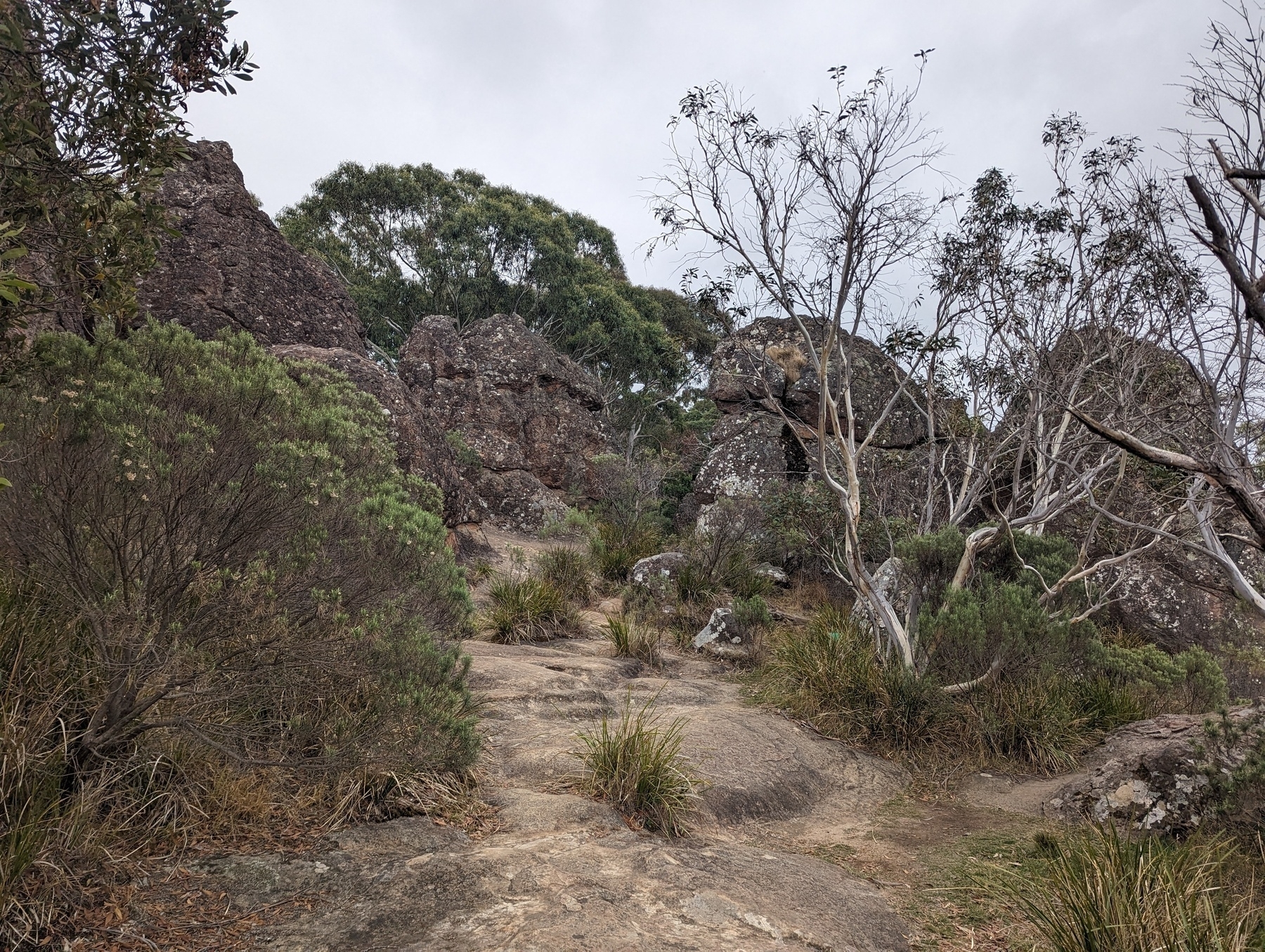 Australian landscape photo of rocks and native plants under a cloudy sky.