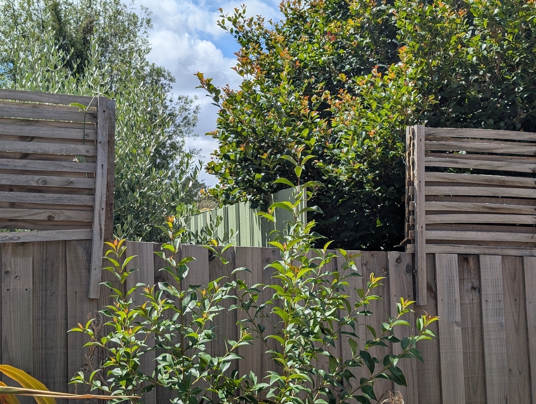 A wooden fence with two sections having horizontal slats is surrounded by lush green foliage and under a partly cloudy sky.