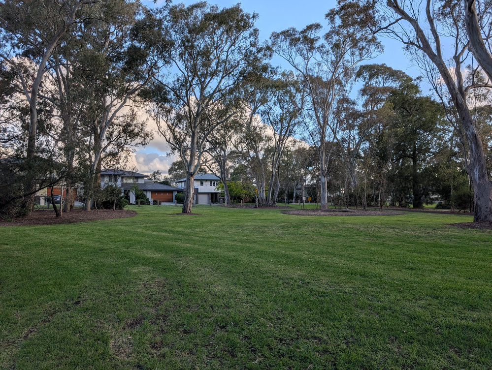 A peaceful park setting features lush green grass, tall trees, and houses in the background under a clear blue sky.