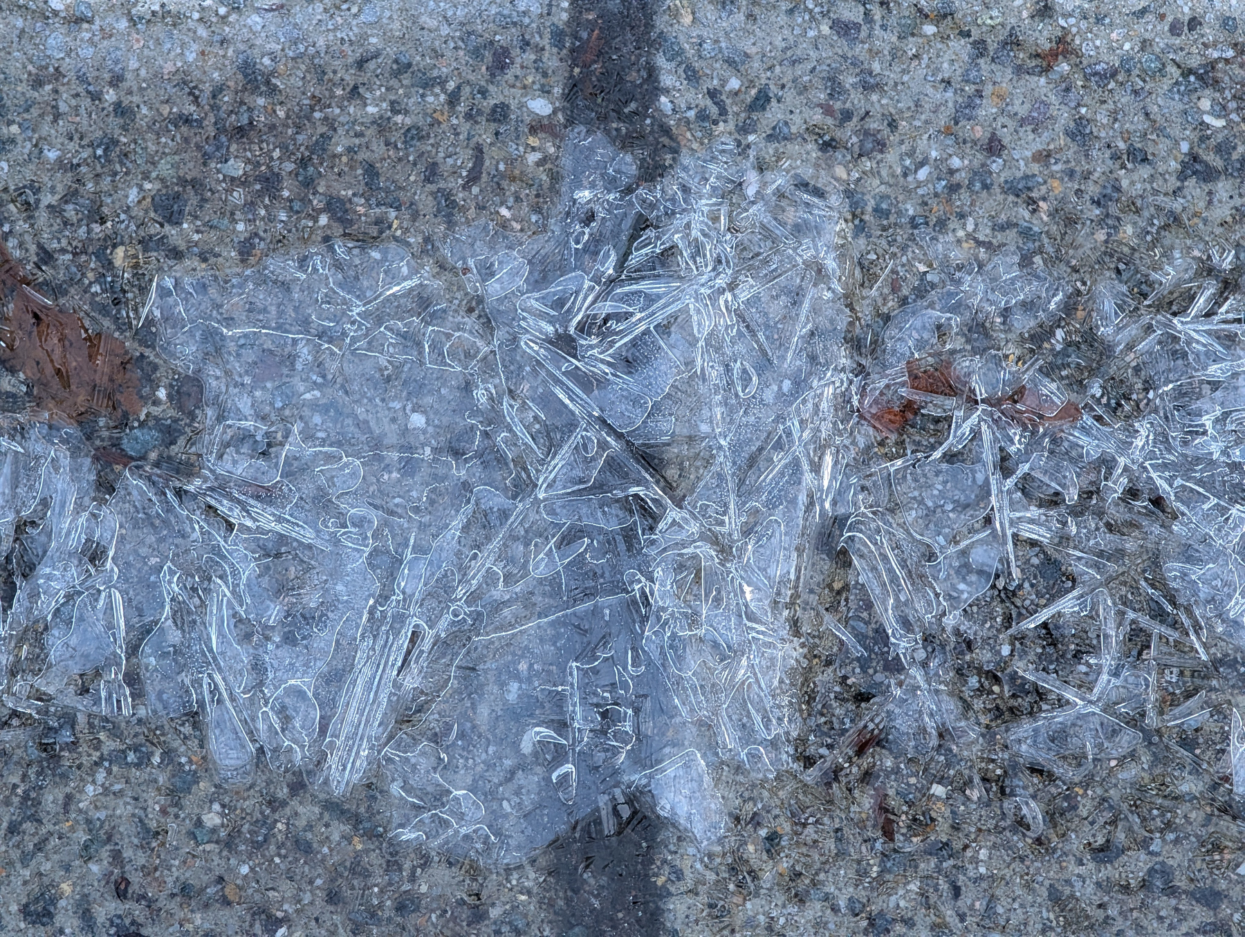 Auto-generated description: Frozen ice crystals form intricate patterns on a textured stone surface.